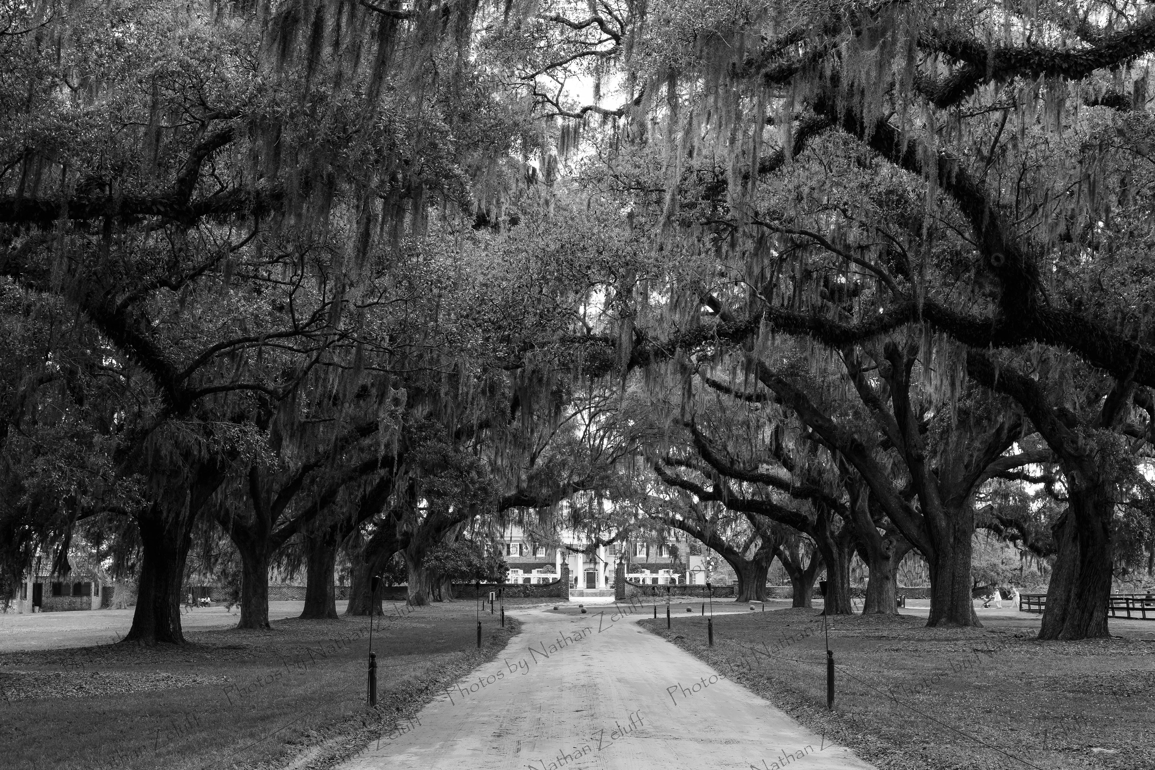 Avenue of Oaks (Savannah, Georgia)