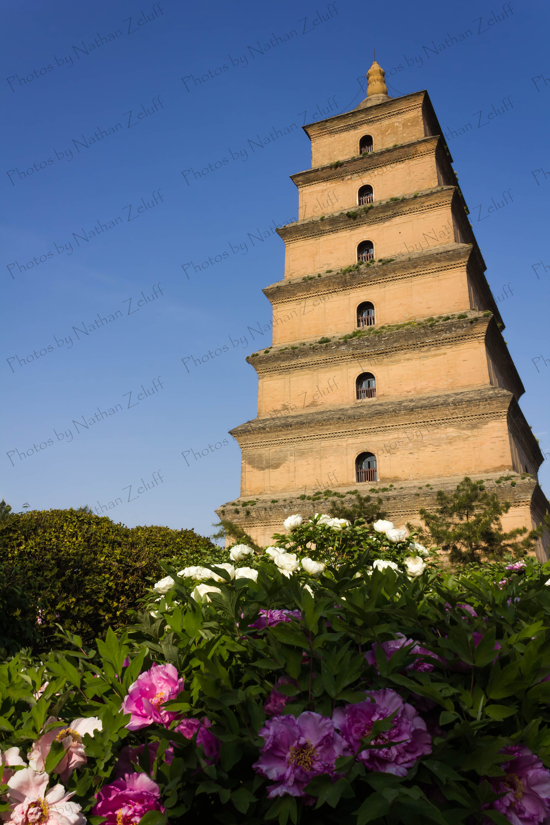 Big Wild Goose Pagoda (Xi'an, China)