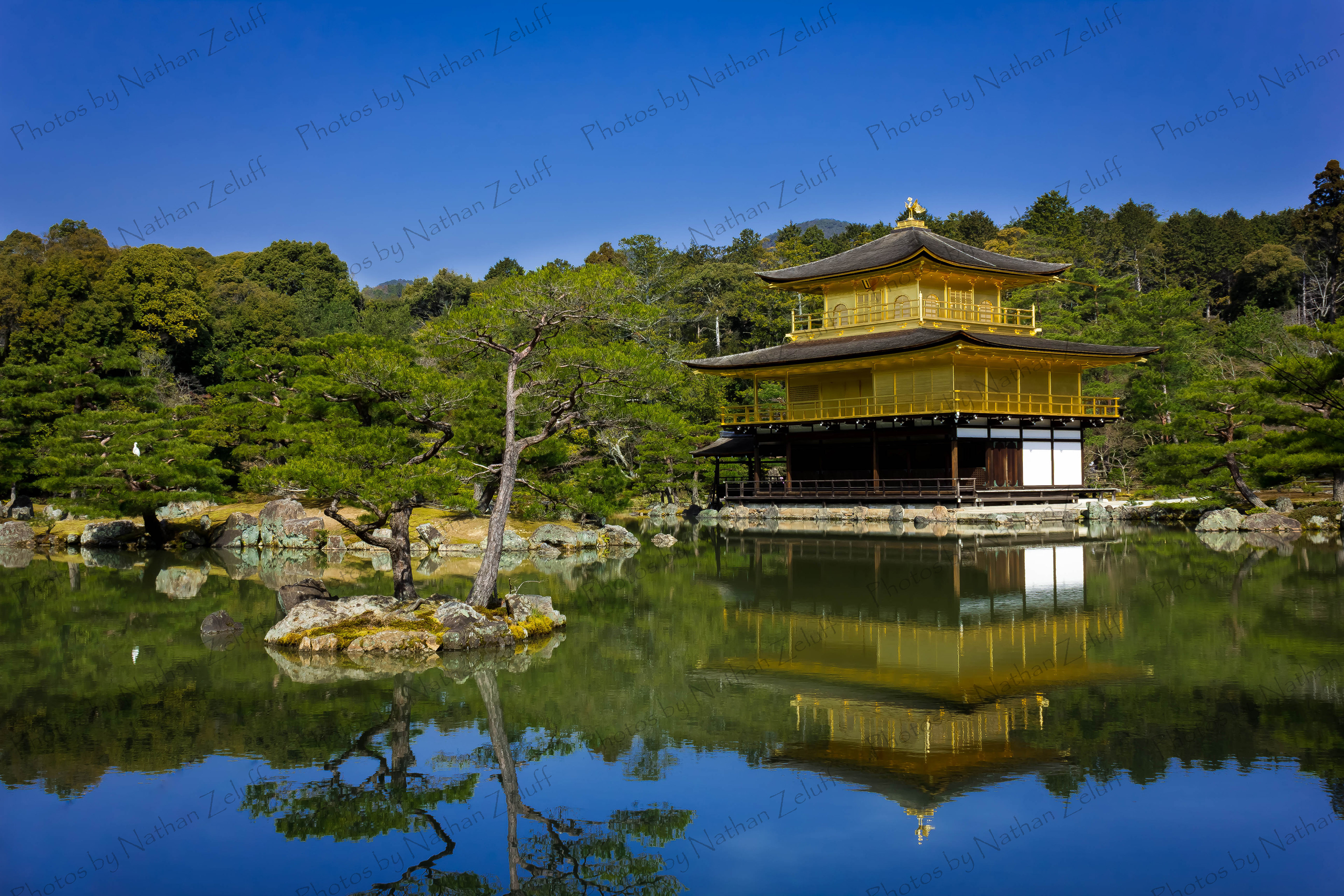 Golden Glory (Kyoto, Japan)
