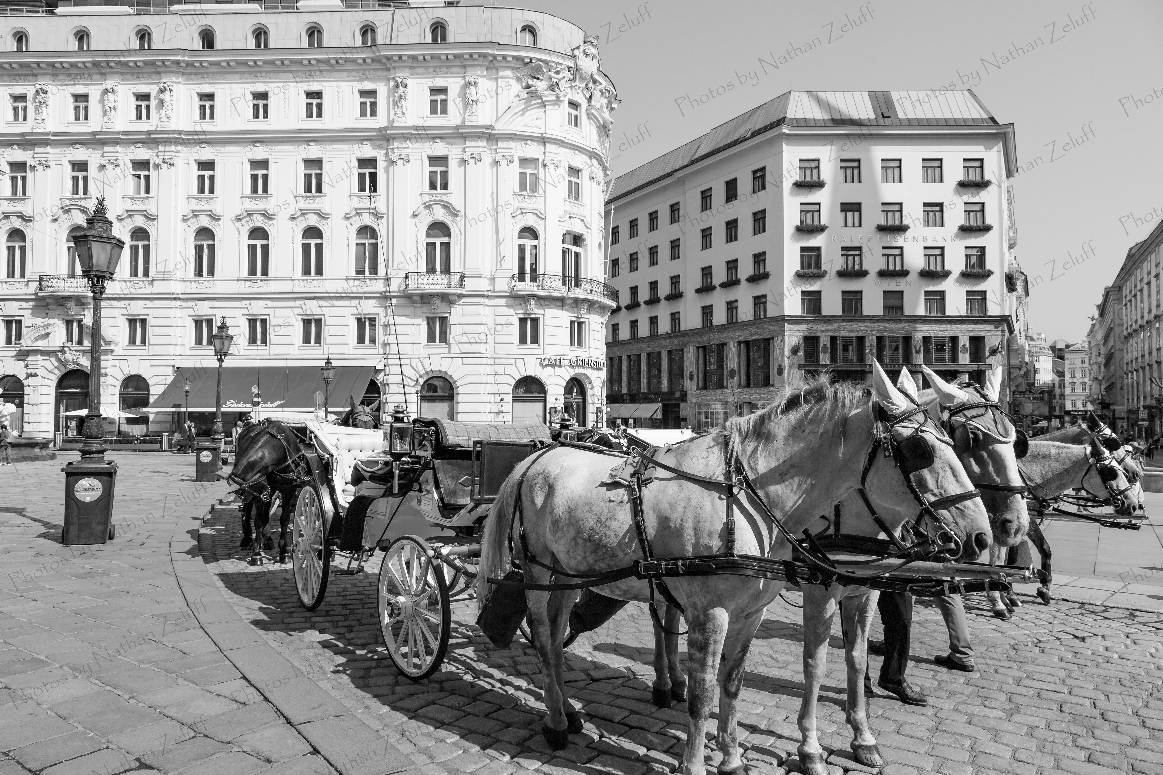 Carriages in Vienna (Vienna, Austria)