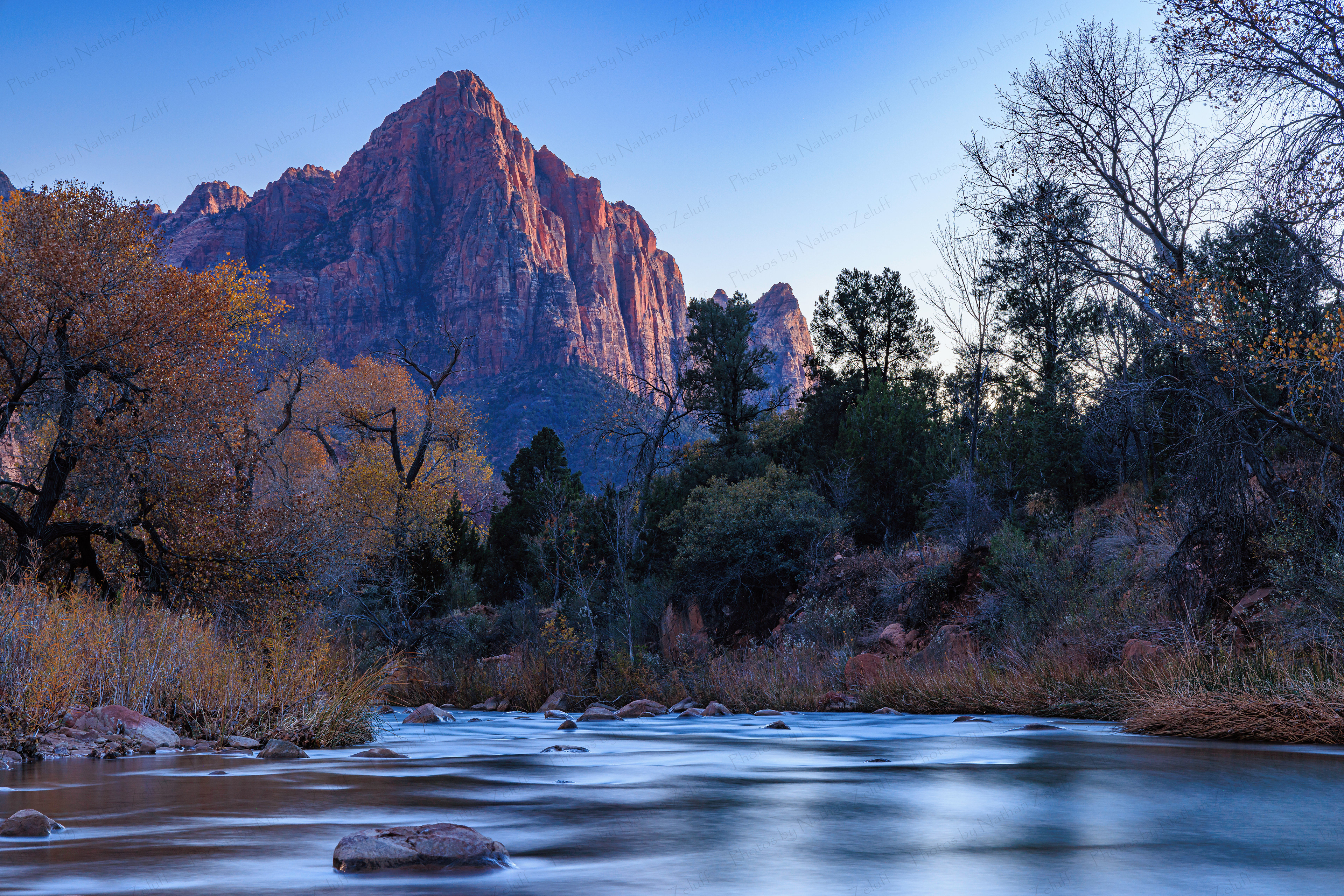 Blue Hour Watchman (Zion NP, Utah)