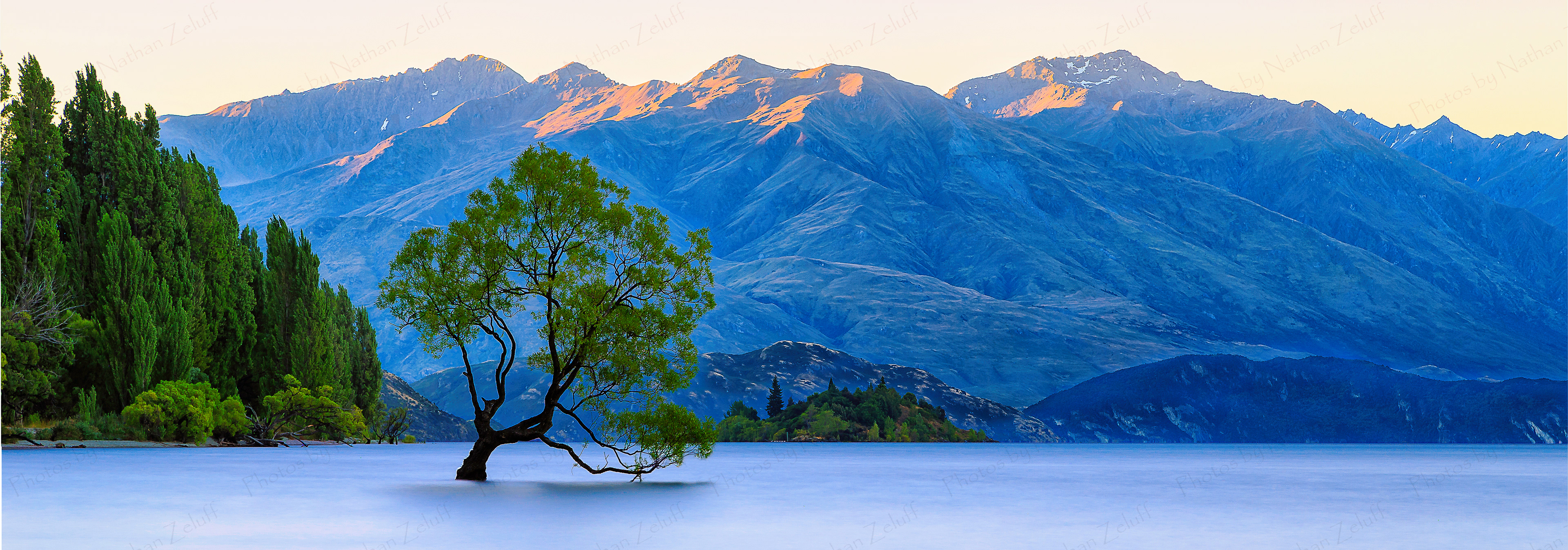 That Wanaka Tree (Wanaka, New Zealand)