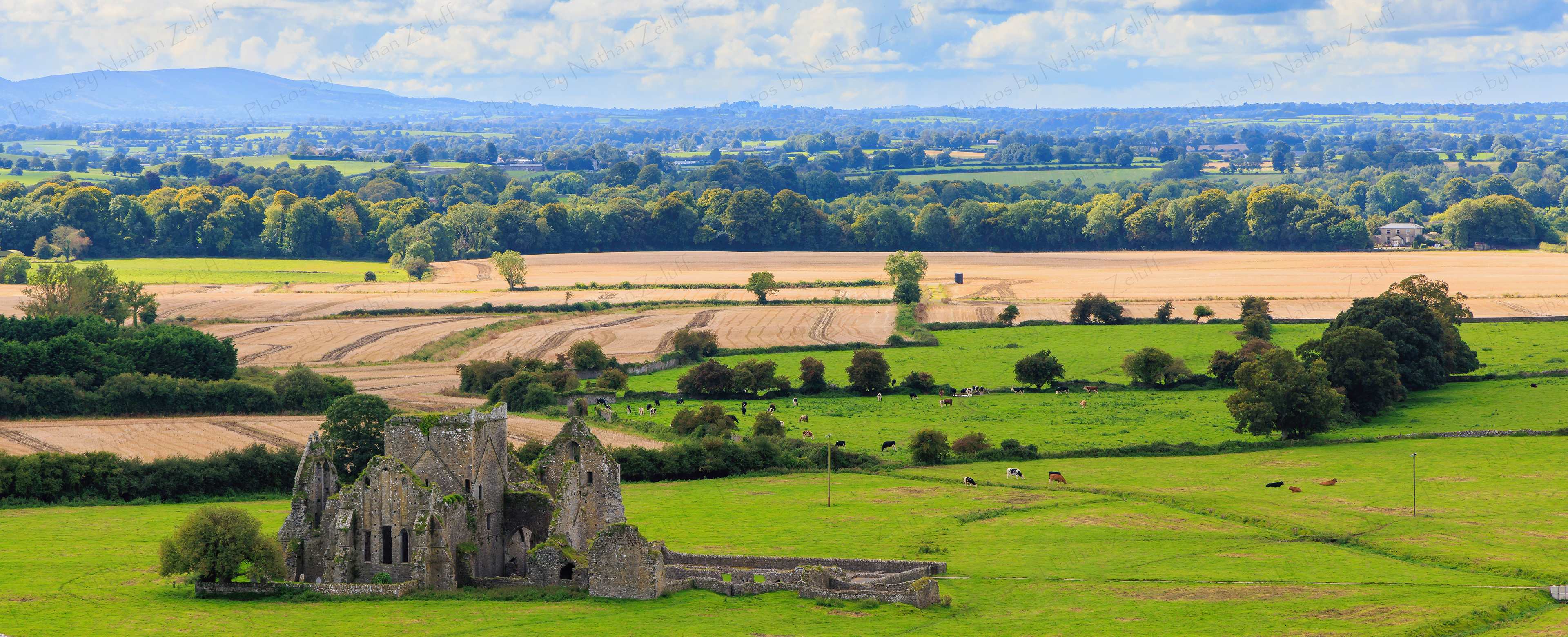 Irish Beauty (Cashel, Ireland)