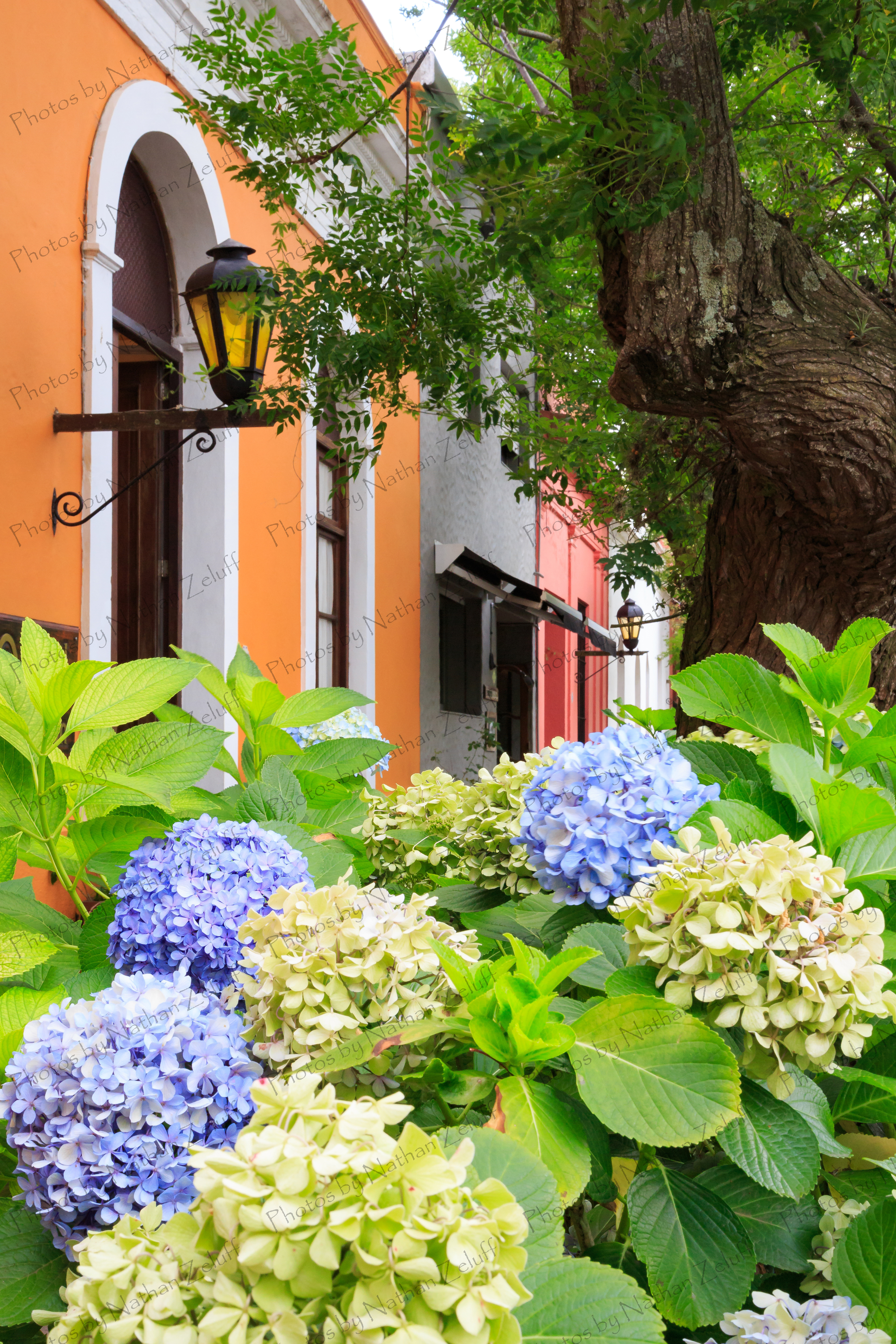 Casas de Colonia (Colonia del Sacramento, Uruguay)