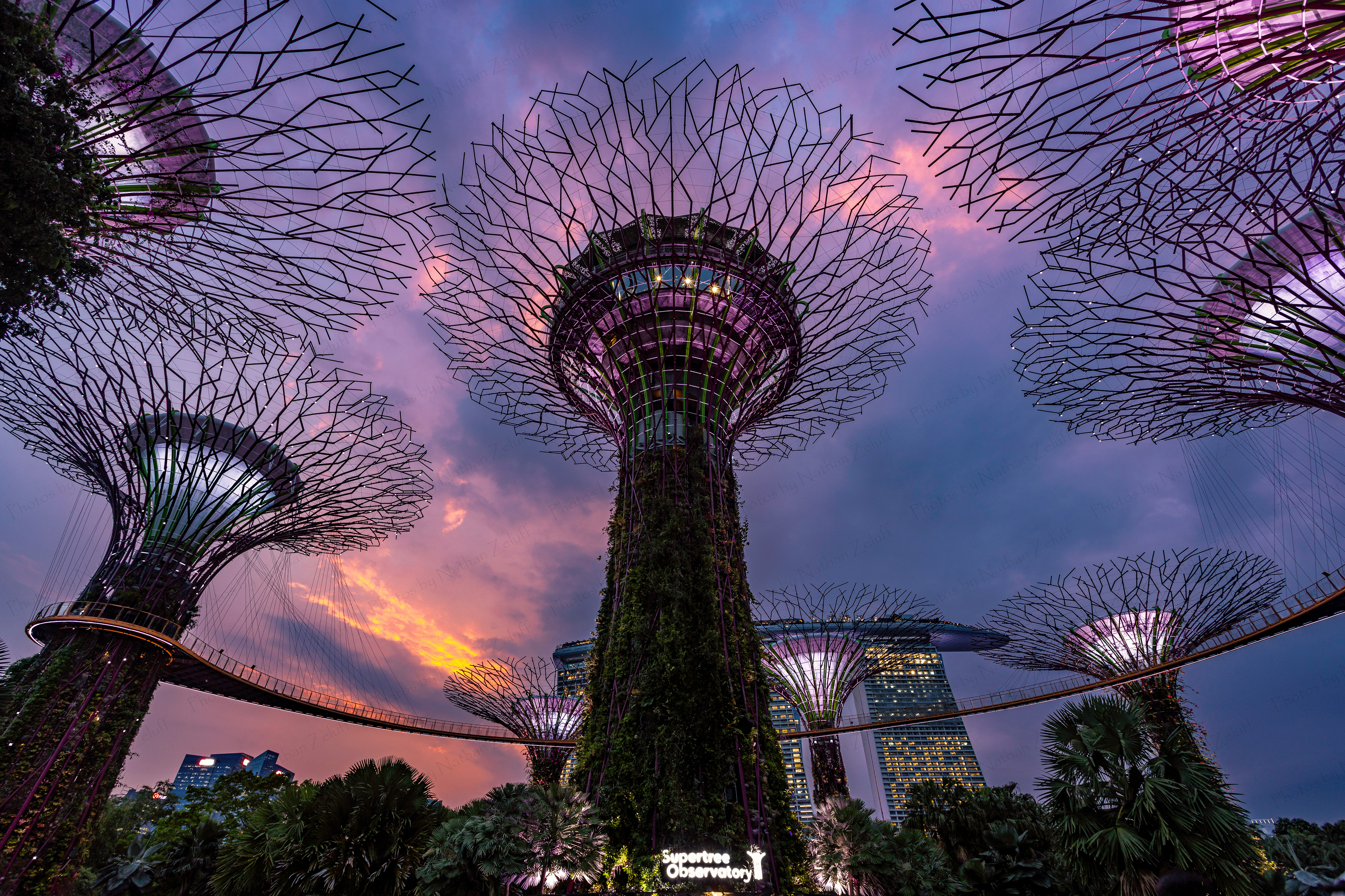 Gardens by the Bay (Singapore)