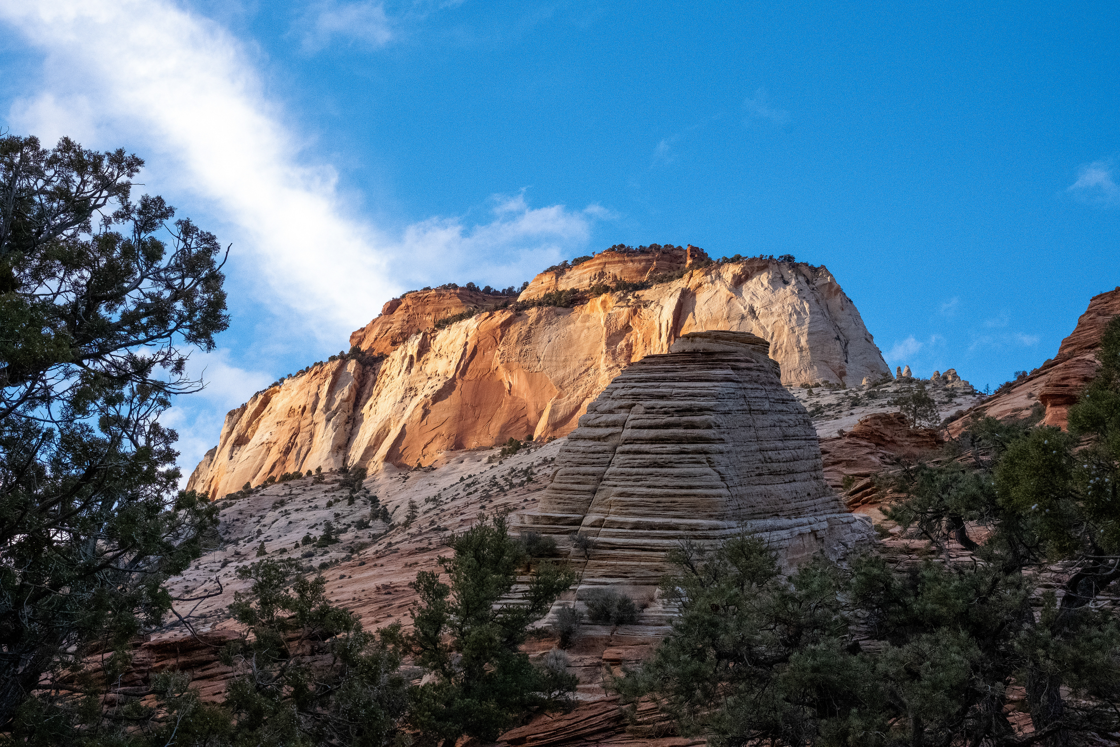 Zion National Park. Feb 2024.