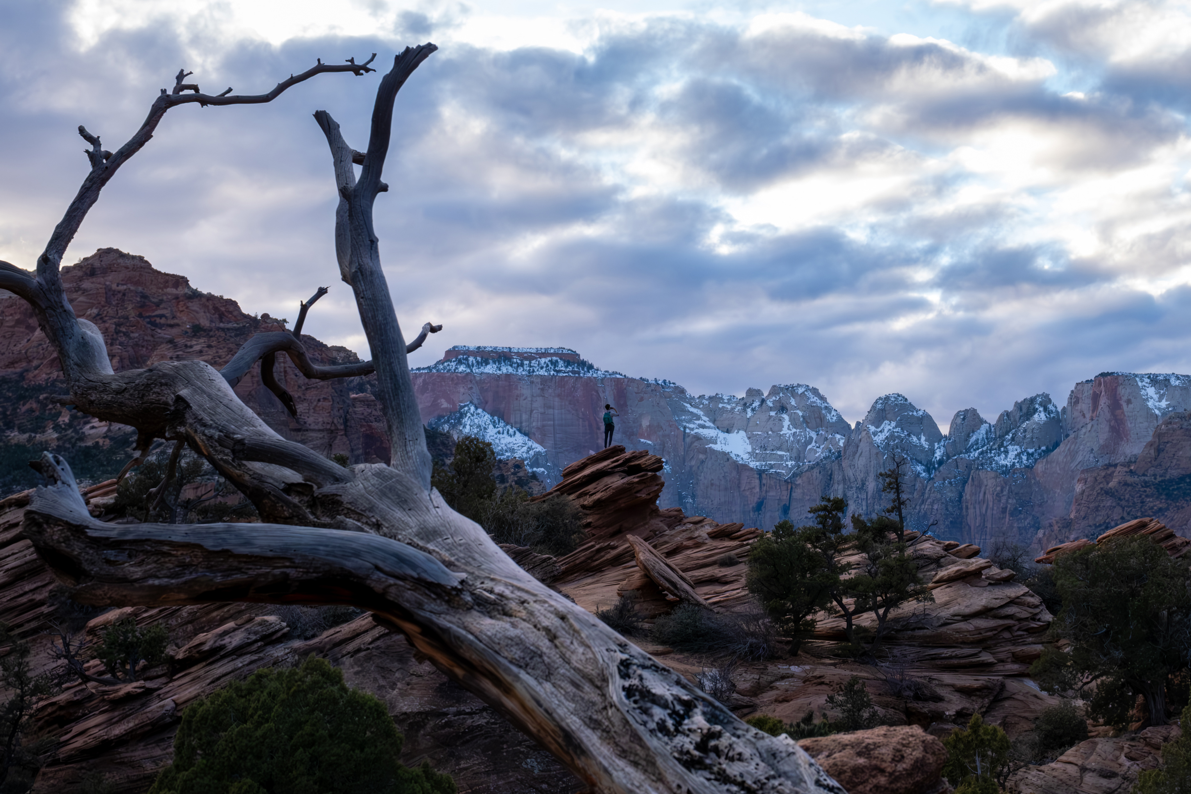 Zion National Park. Feb 2024.