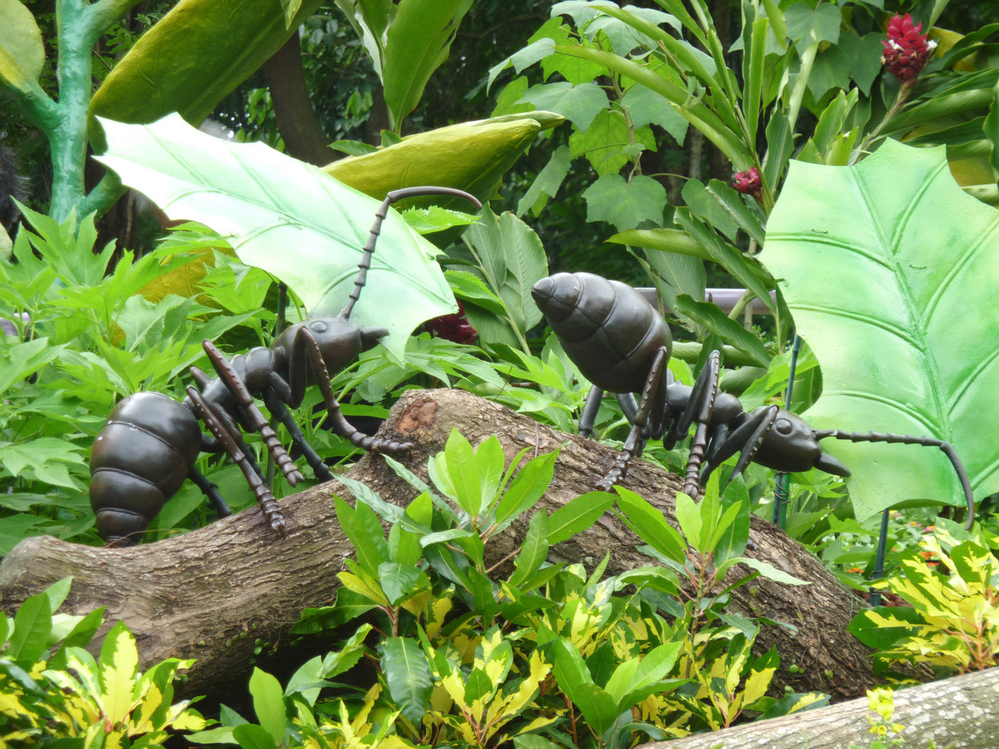 Leaf Ants . Cast Resin with Paint . 2011