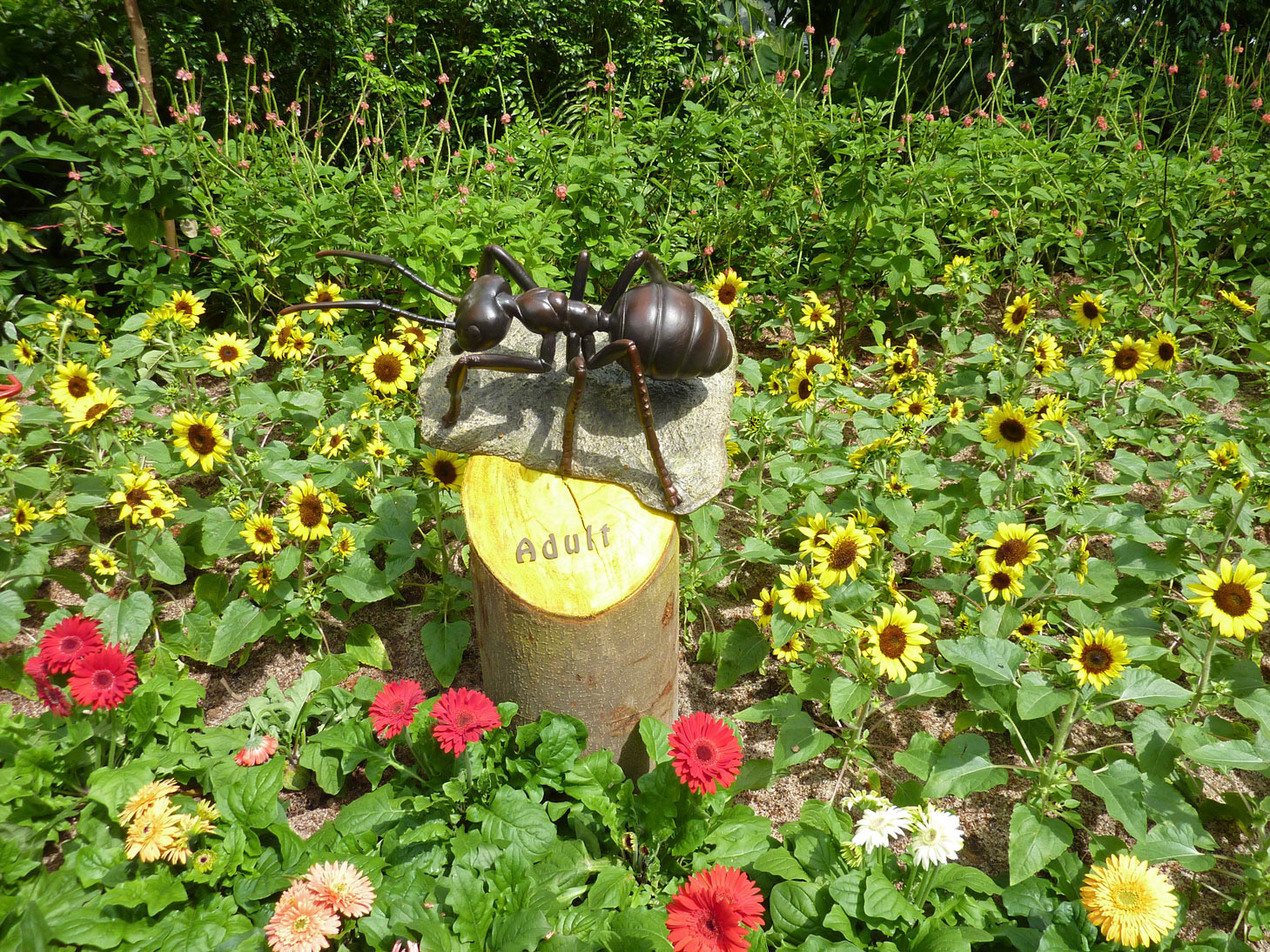 Adventures with Ants (Adult) . Cast Resin with Paint . 2011