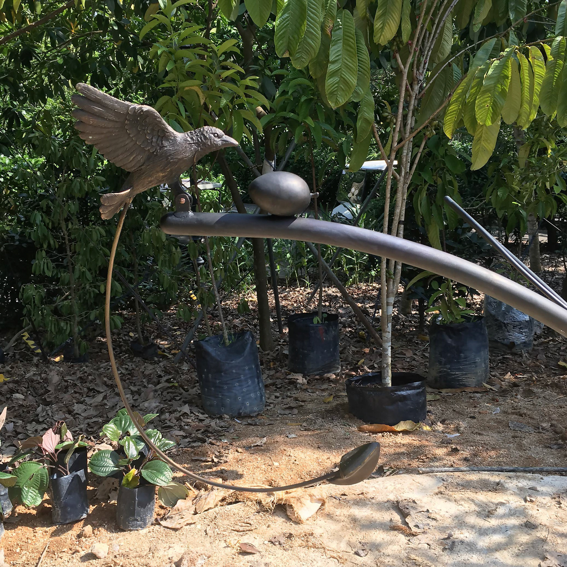 Interactive Birds . Red-crowned Barbet & Canthium Glabrum (fruit & seed) . Brass . 2019