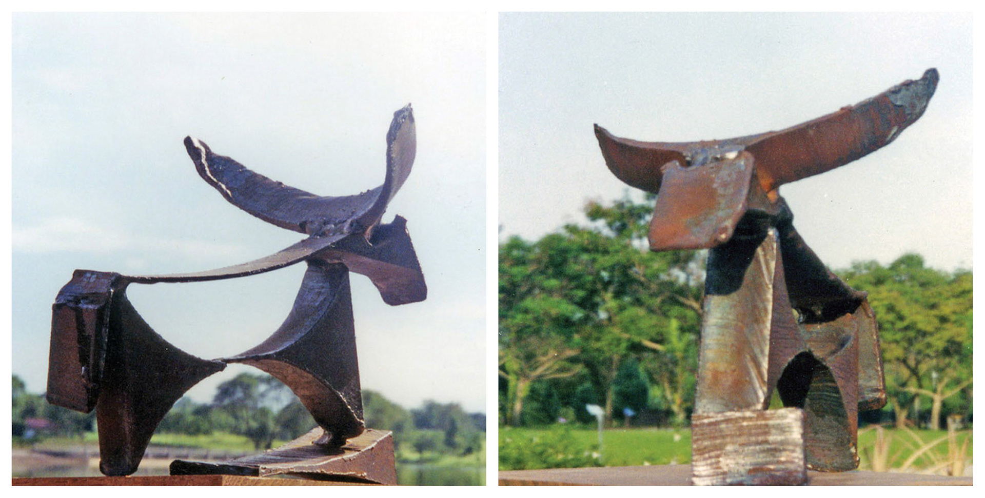 Water Buffalo . Mildsteel . 2000