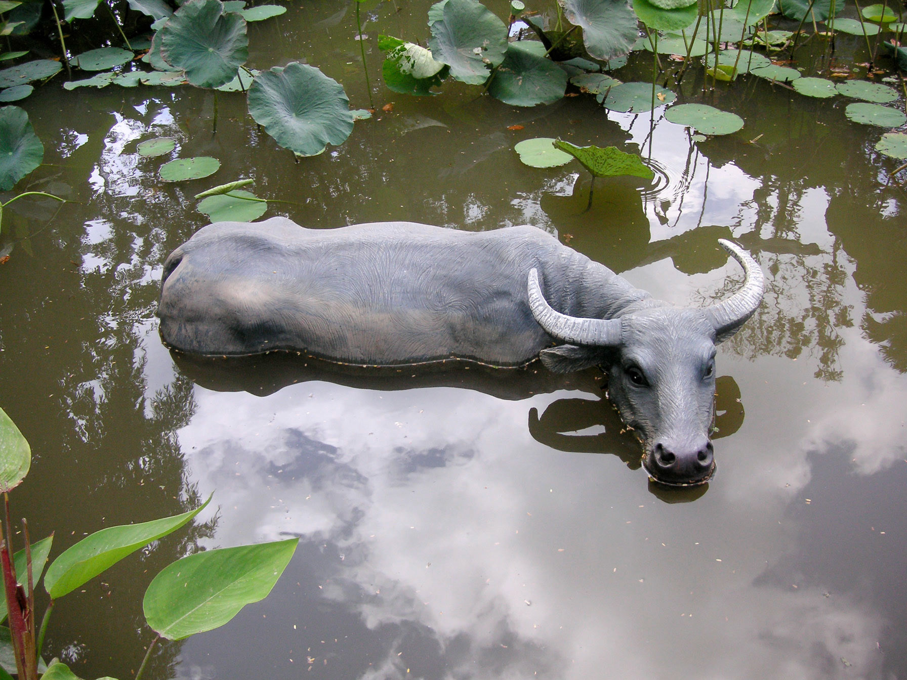 Water Buffalo . Cast Resin with Paint . 2009