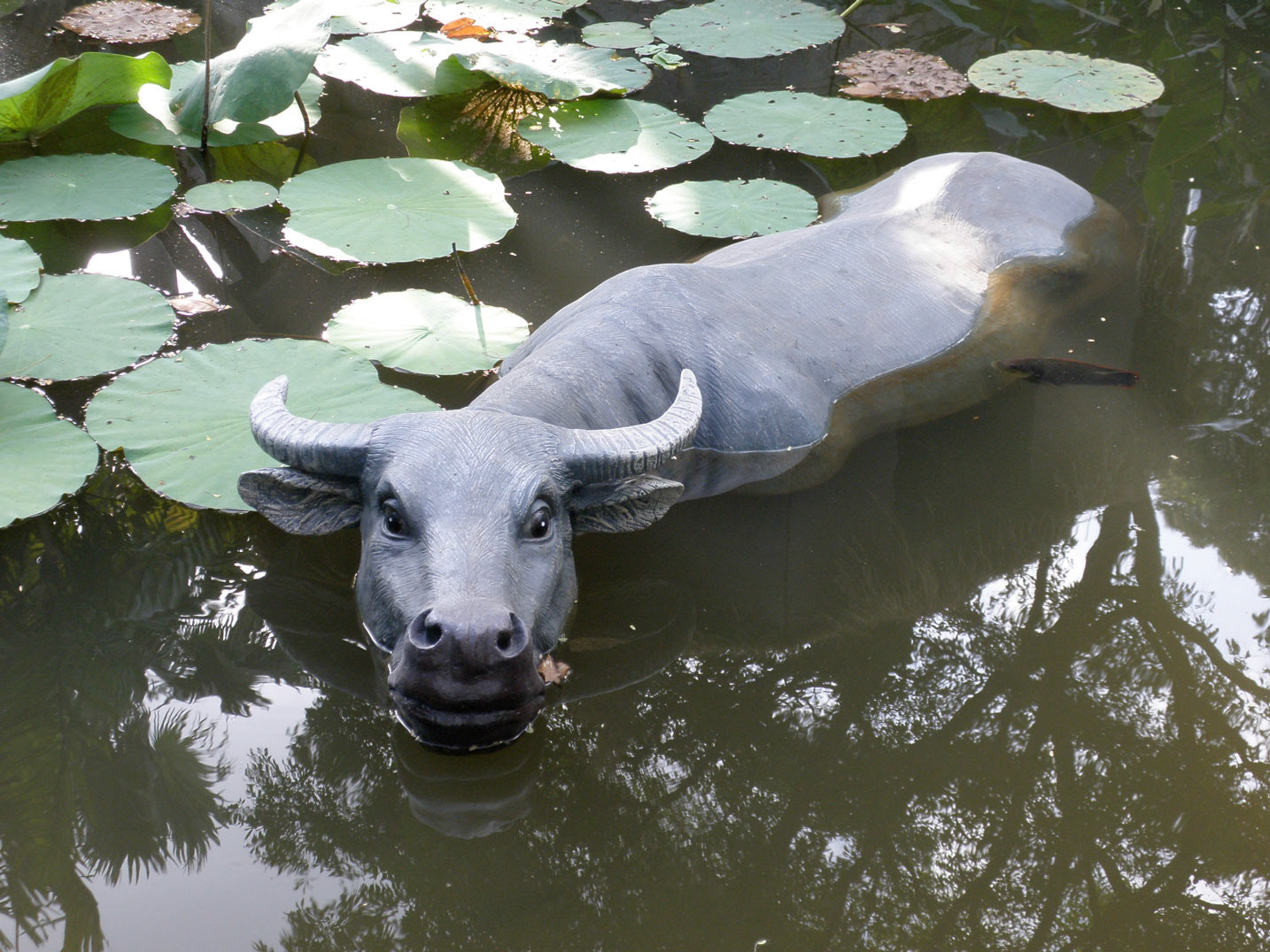 Water Buffalo . Cast Resin with Paint . 2009