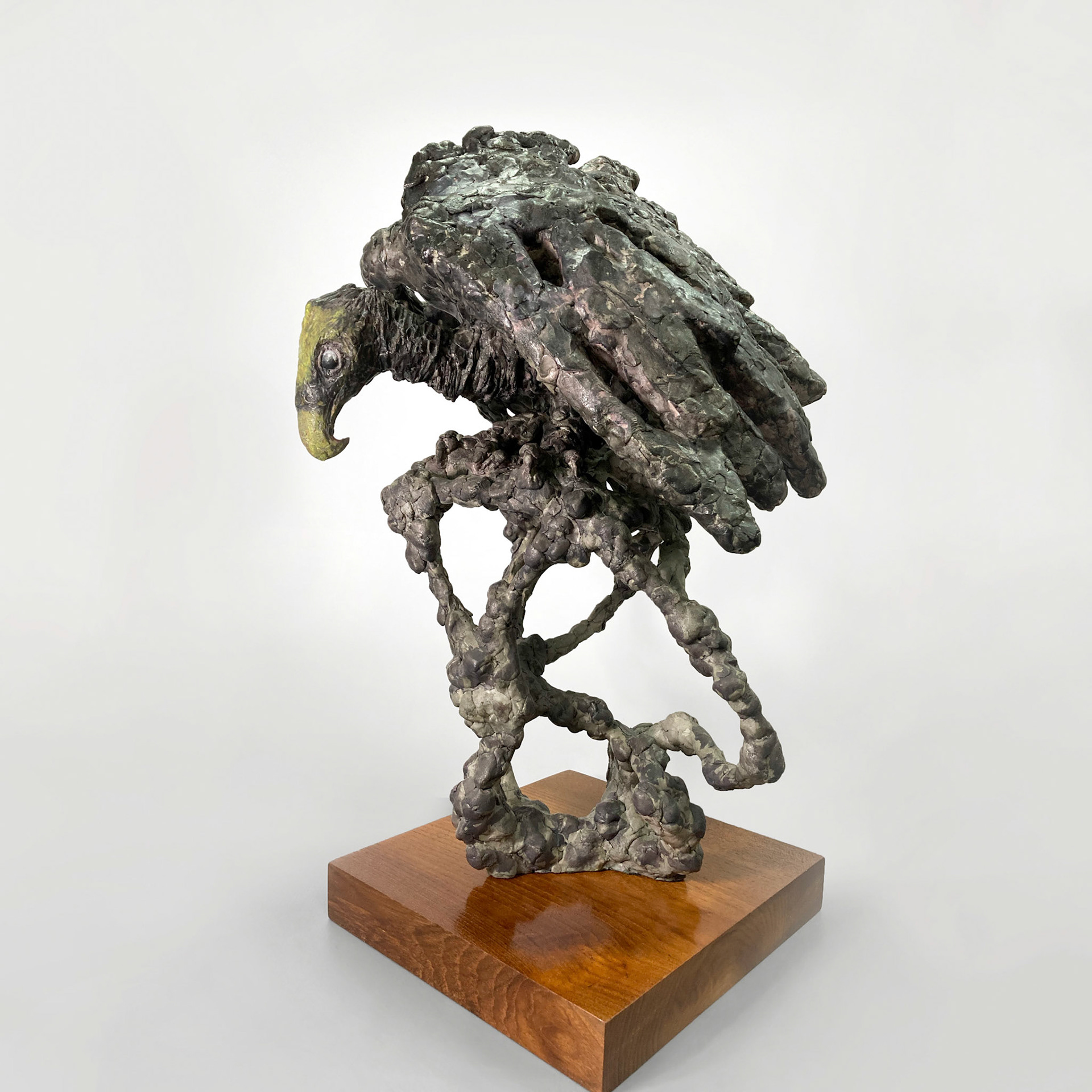 《灵鹫》Vulture - 3D Ink Wash Painting Sculpture Series