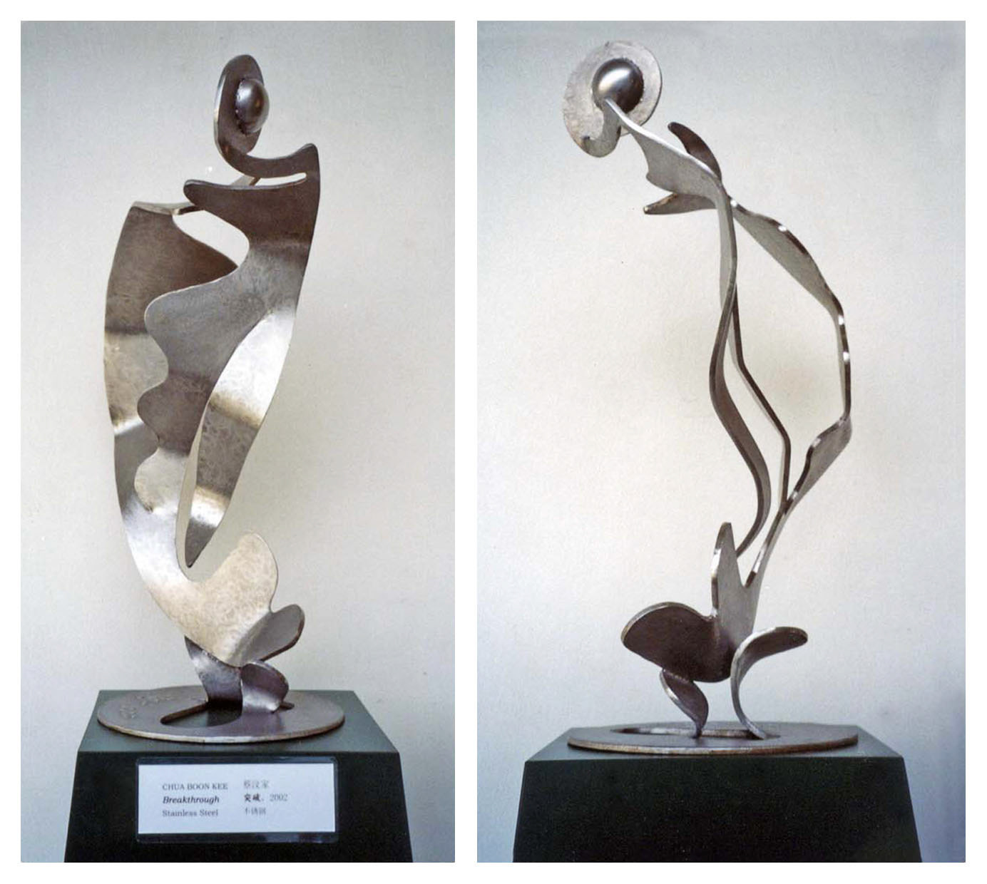 Breakthrough . Stainless Steel . 2005