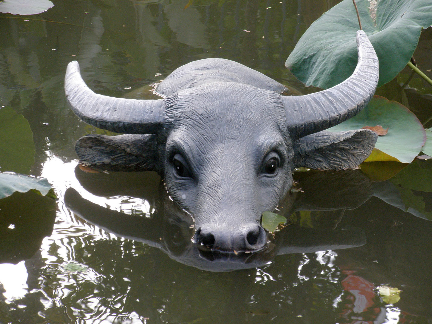 Water Buffalo . Cast Resin with Paint . 2009
