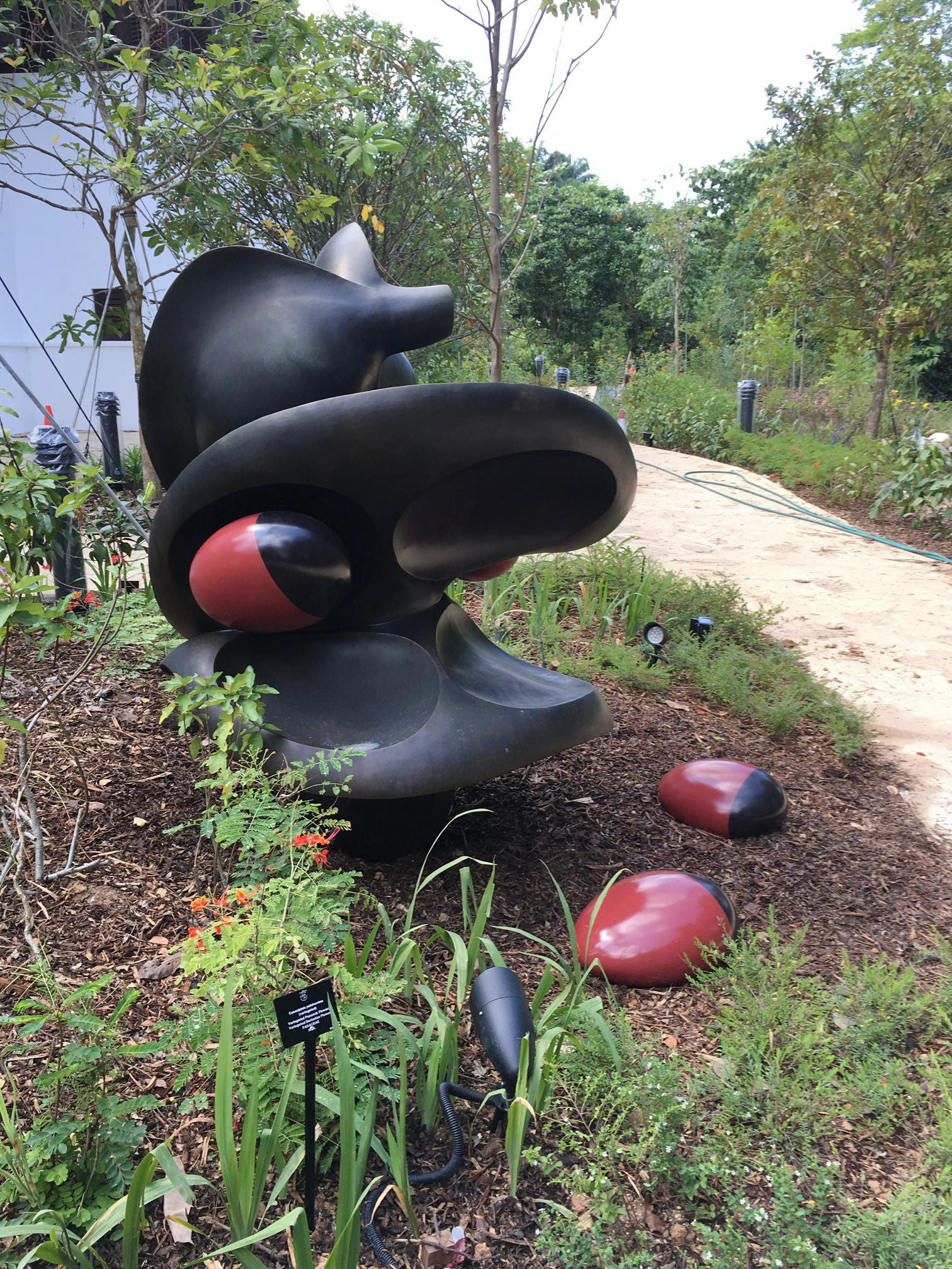 Saga Daun Tajam Seeds . Forged Brass . 2019