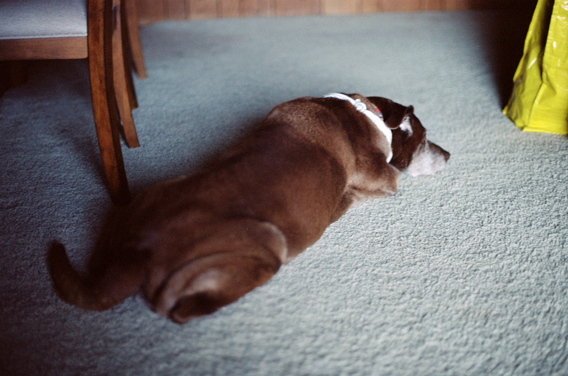 Dazey really liked Crestline