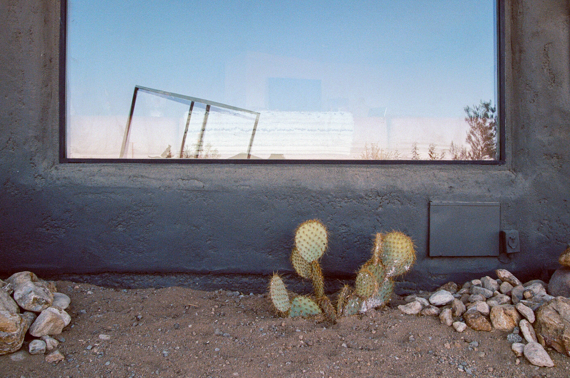 The gardens around our Airbnb contained numerous art pieces and reminders of our desert living