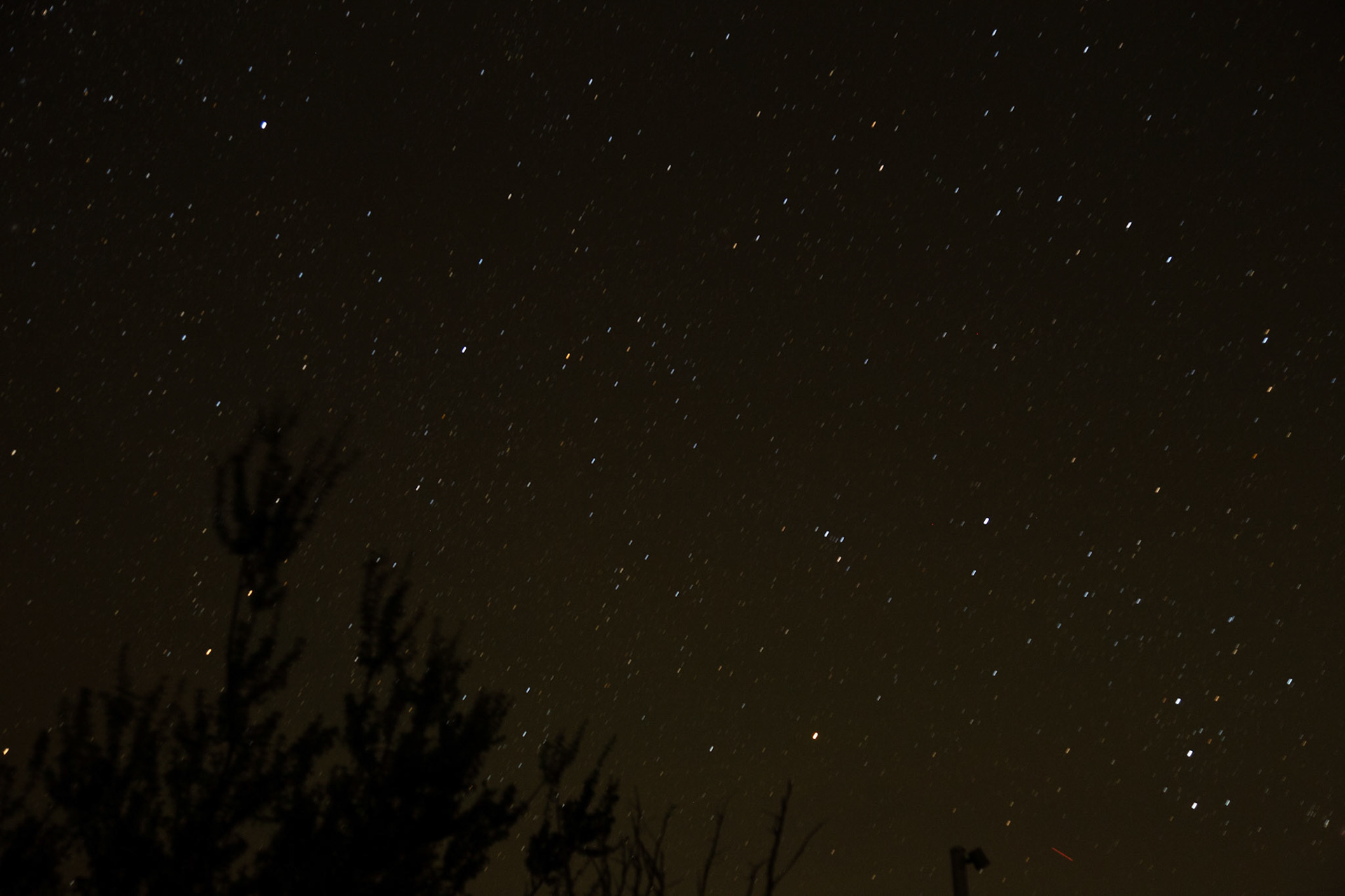 First night in Joshua Tree