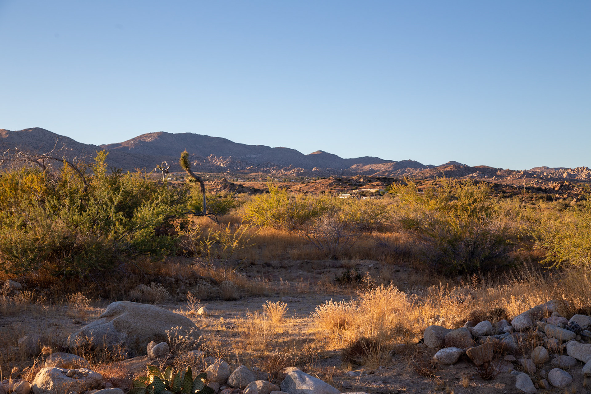 The view from the back