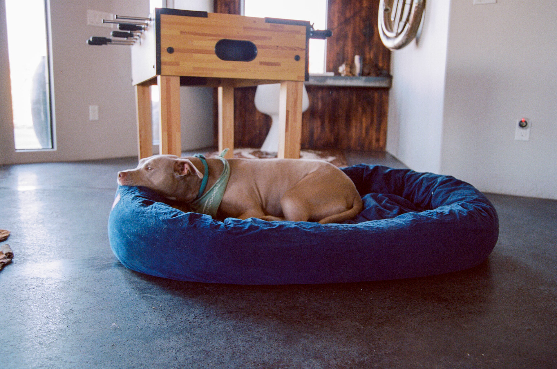 Last day - Saffron is wiped out