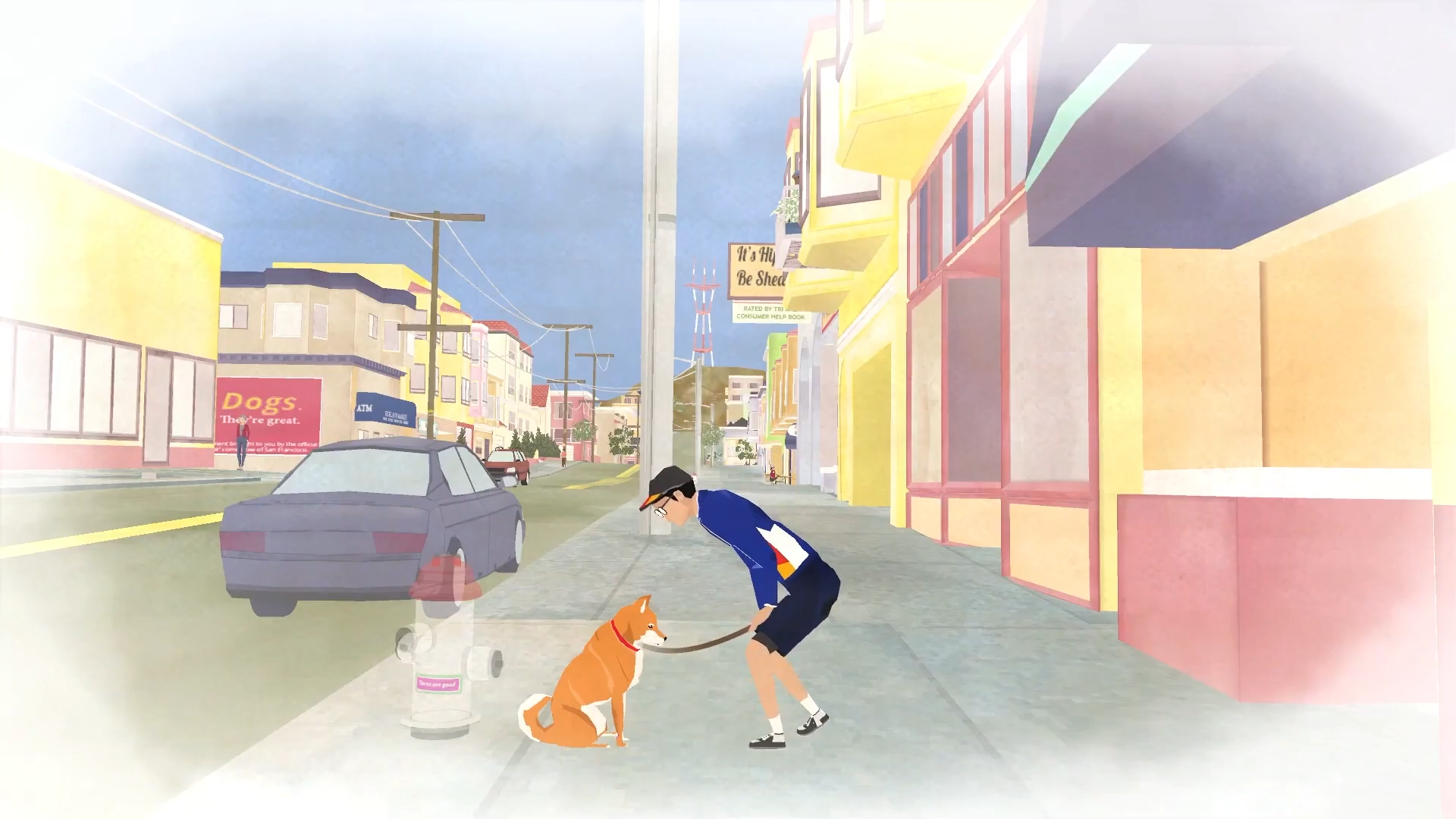 A Shiba Story