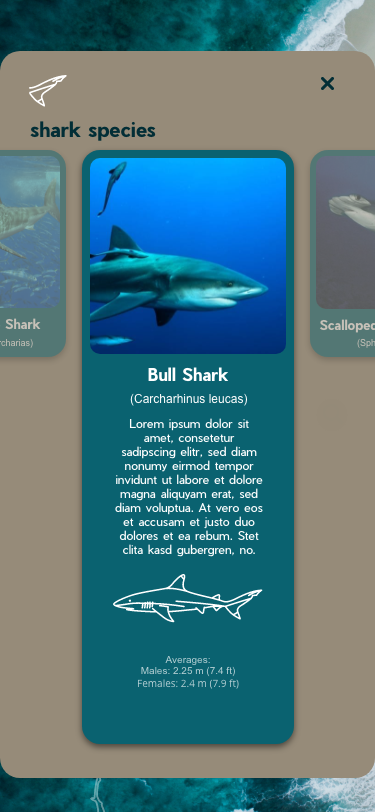 Small Info 2