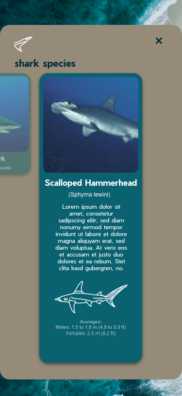 Smal Info 3