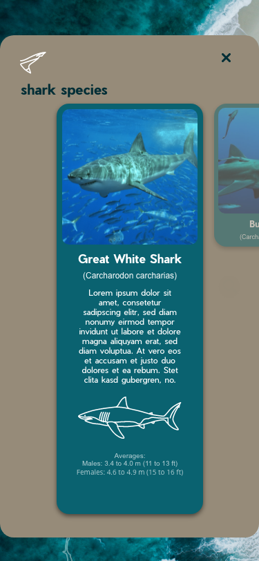 Small Info 1
