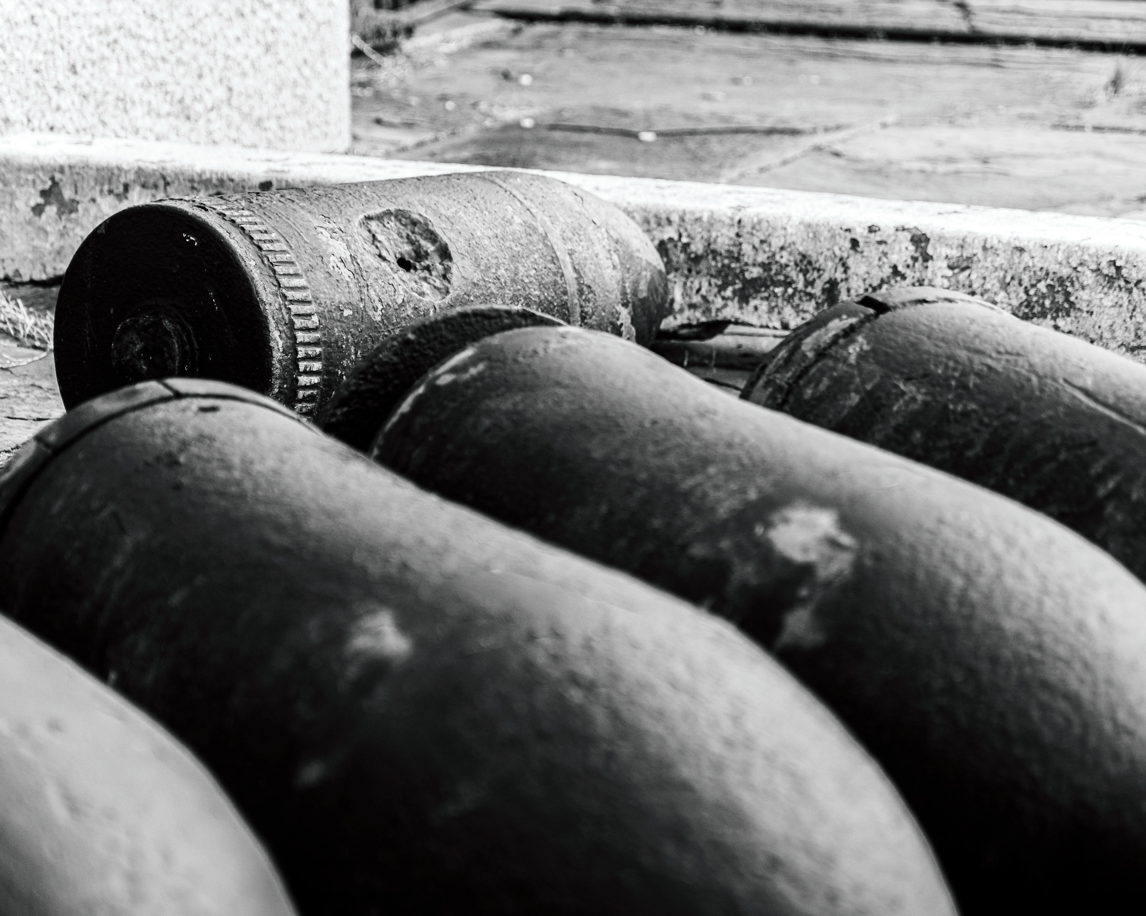 Shells at Battery Potter - Sandy Hook, NJ