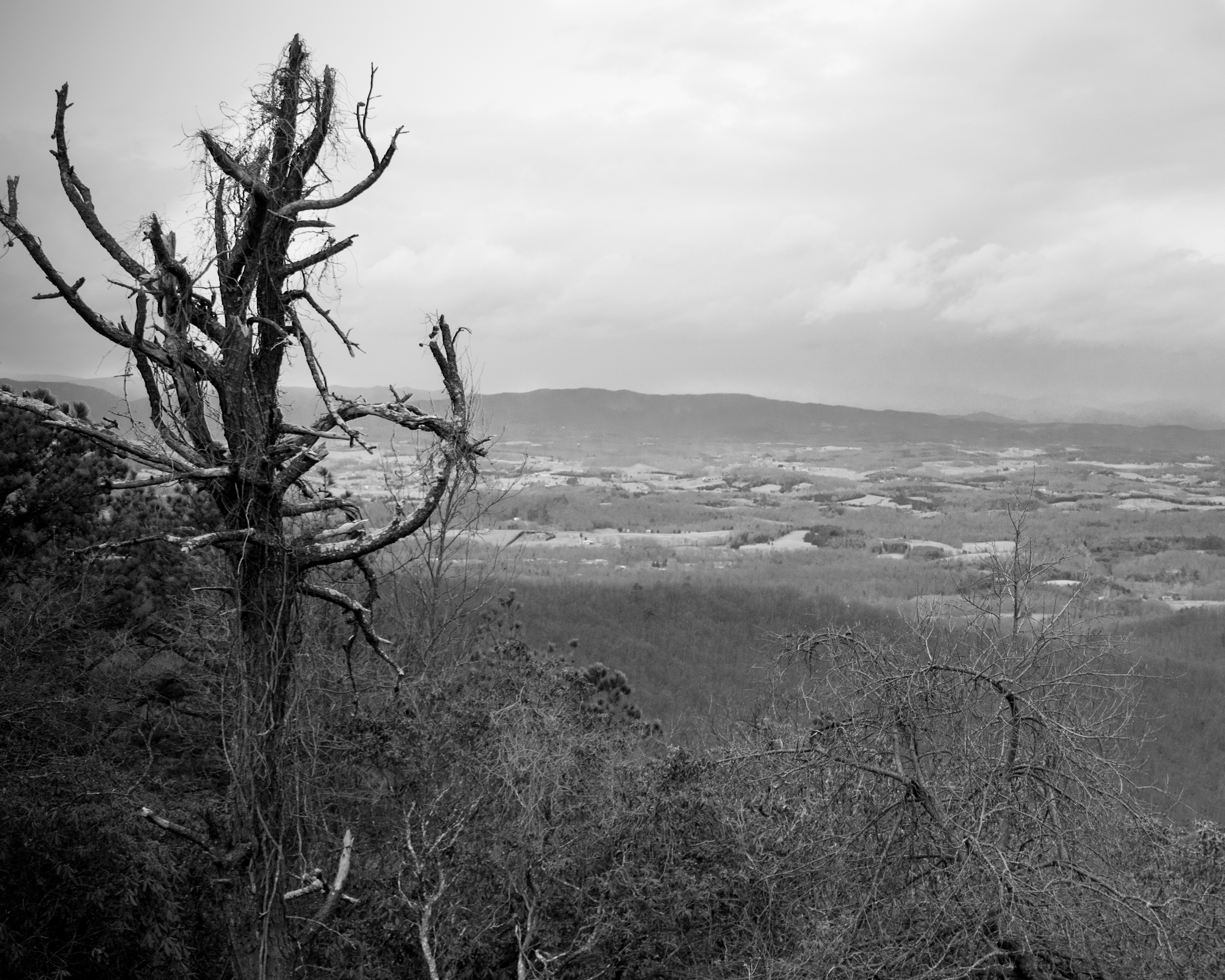 Desolation - Blue Ridge Mountains, VA
