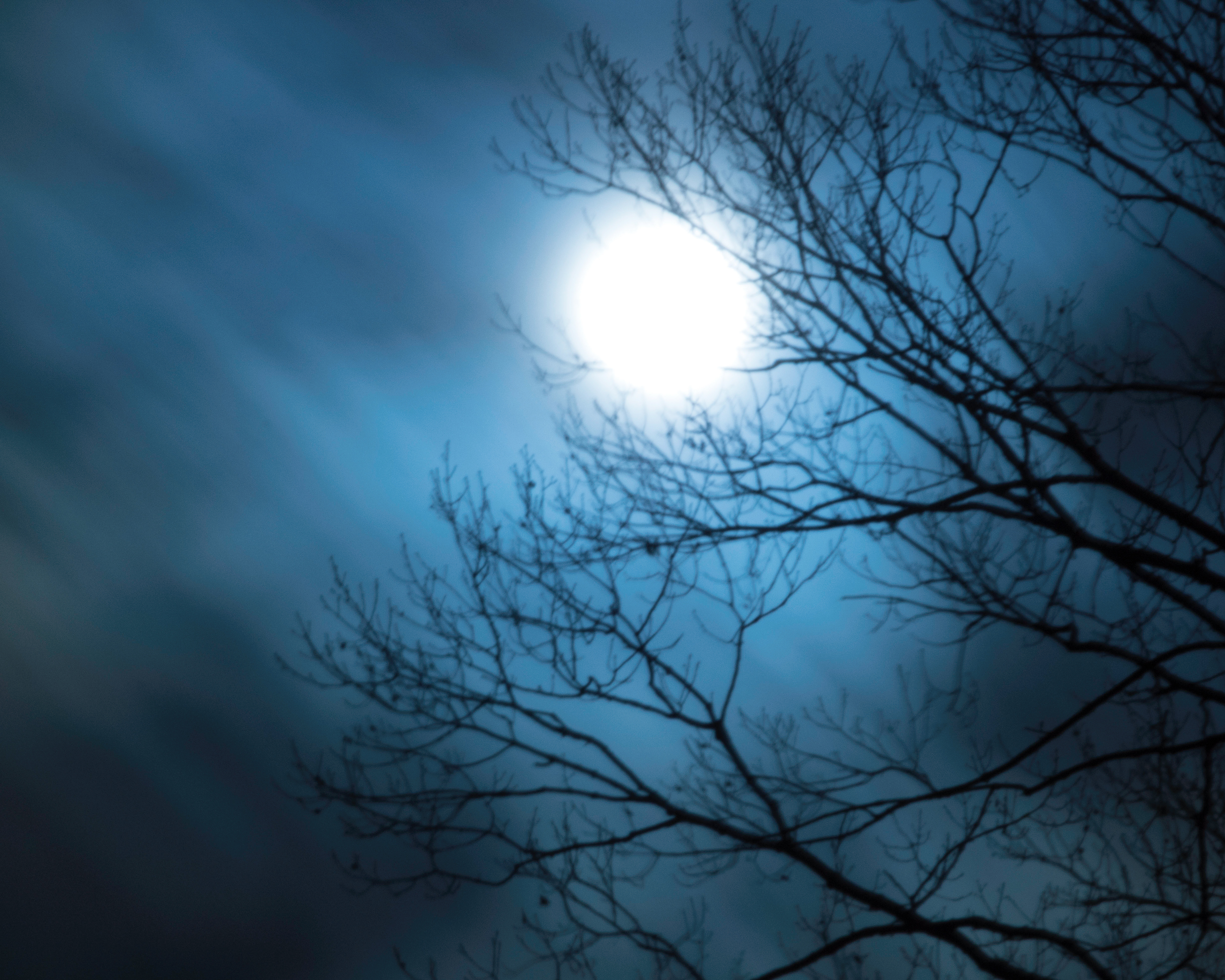 Scary Night - Metuchen, NJ