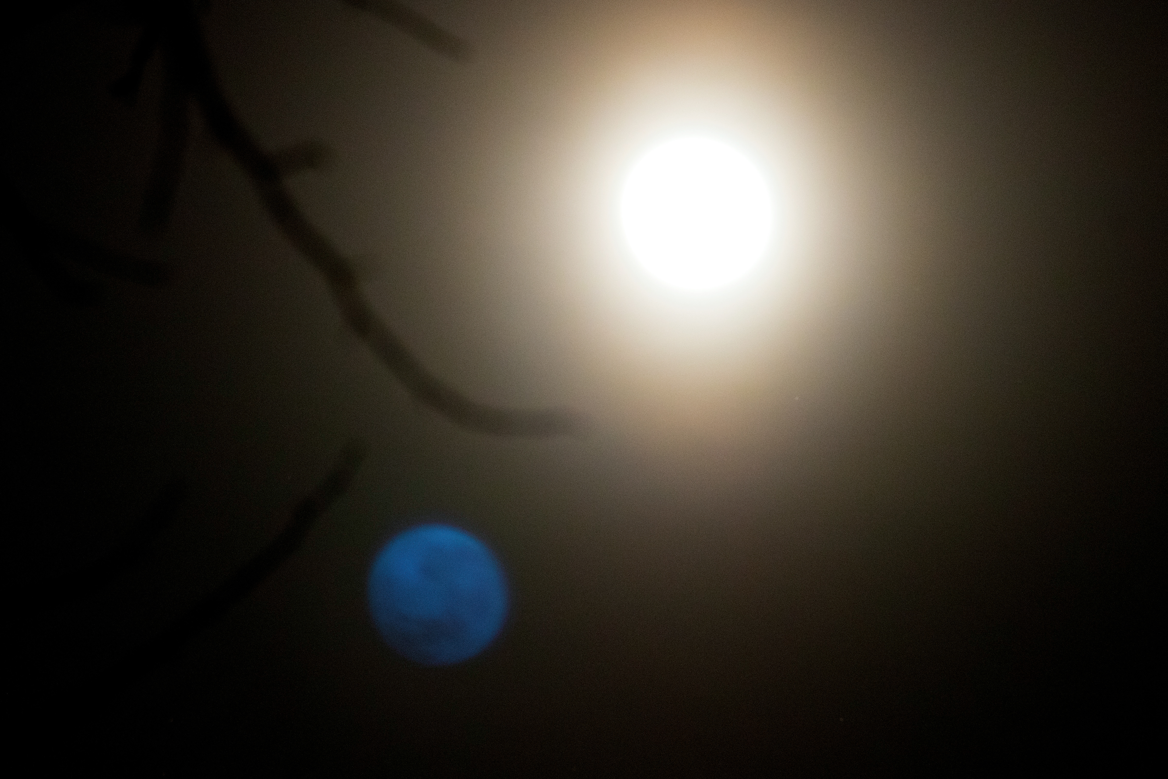 Blue Moon - Metuchen, NJ