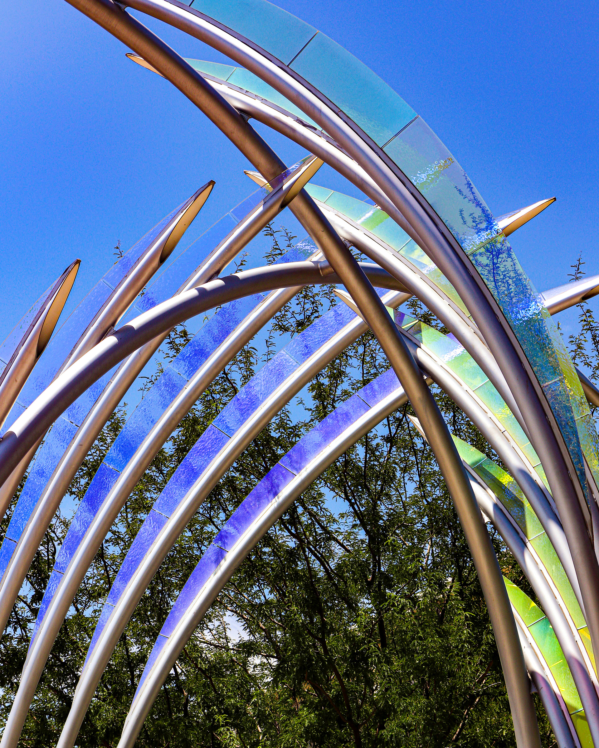 Arches of Diamond Bloom - Scottsdale, AZ 2019