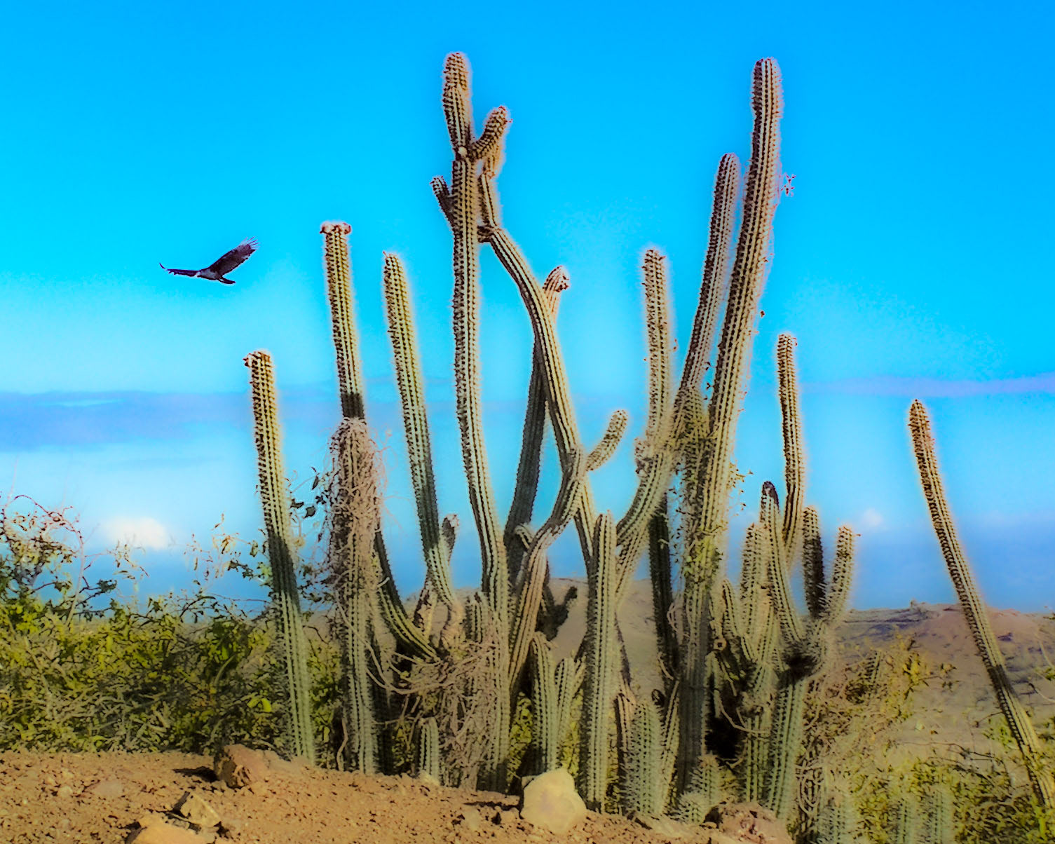 So Called Life - Guantanamo Bay, Cuba