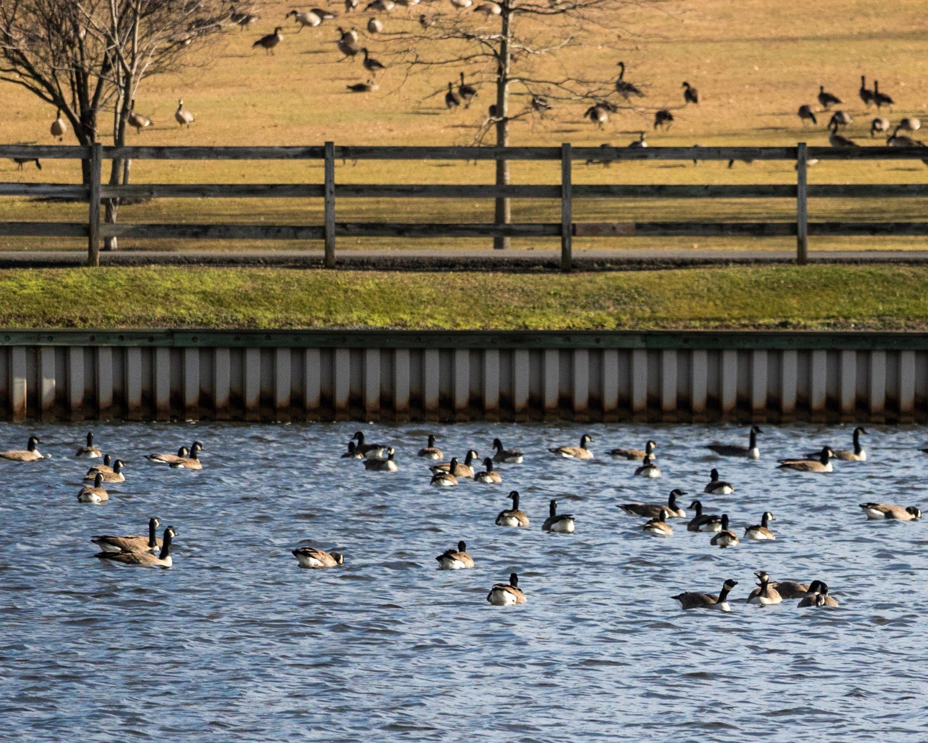 Layers - Roosevelt Park, NJ