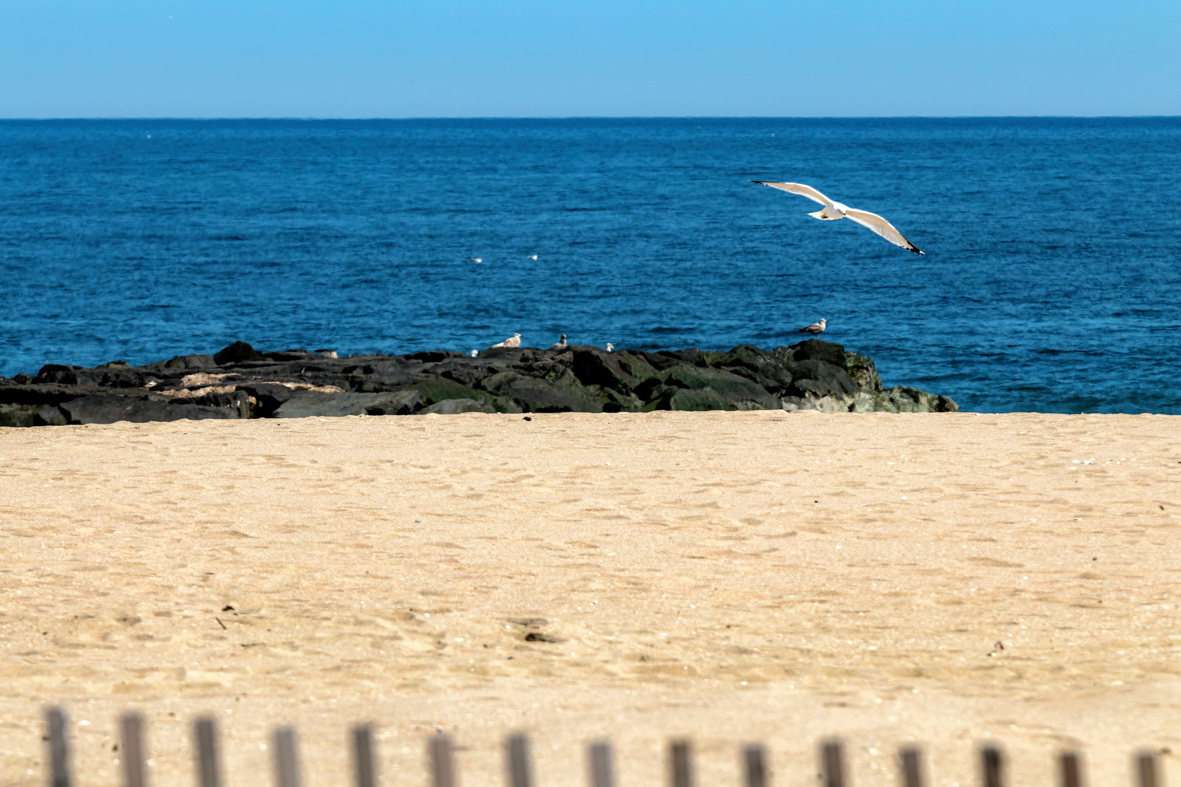 Soaring - Asbury Park, NJ