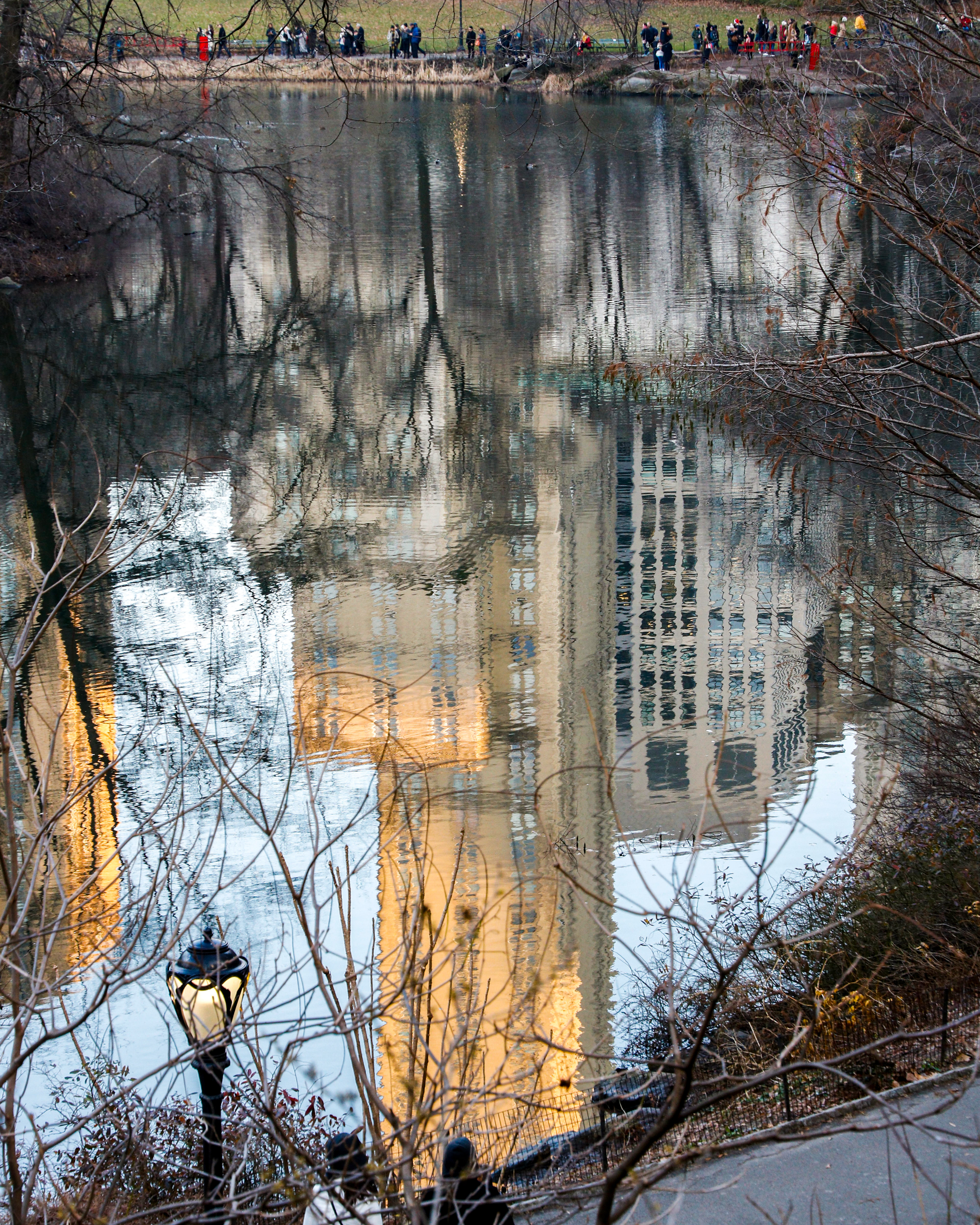 Reflections - Central Park, NYC