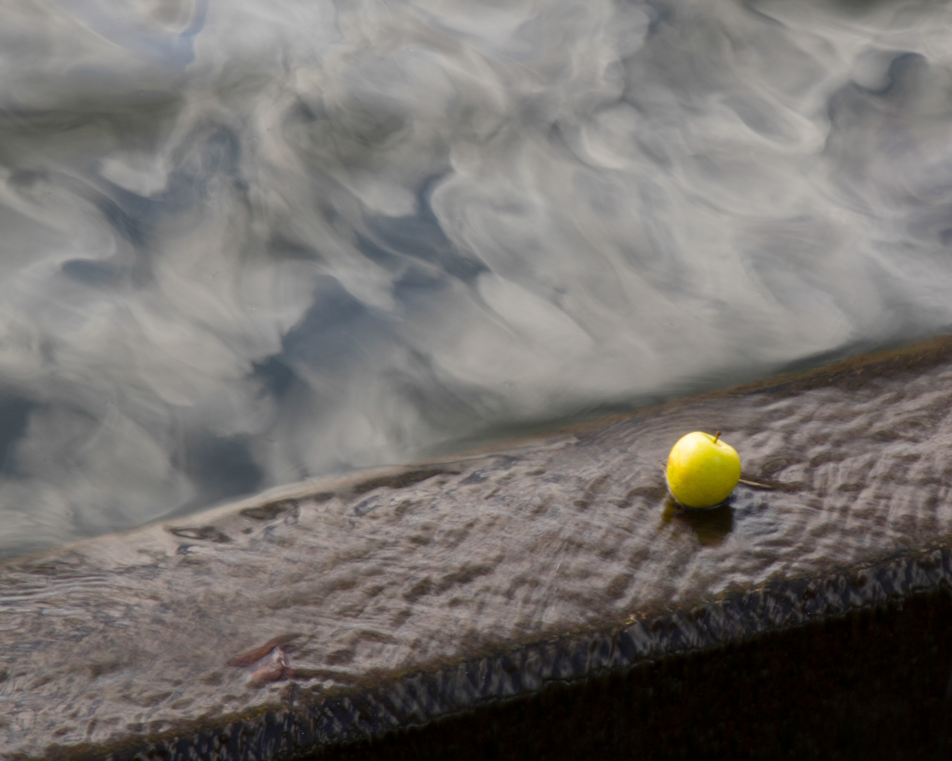 Apple Falls - Roosevelt Field, NJ