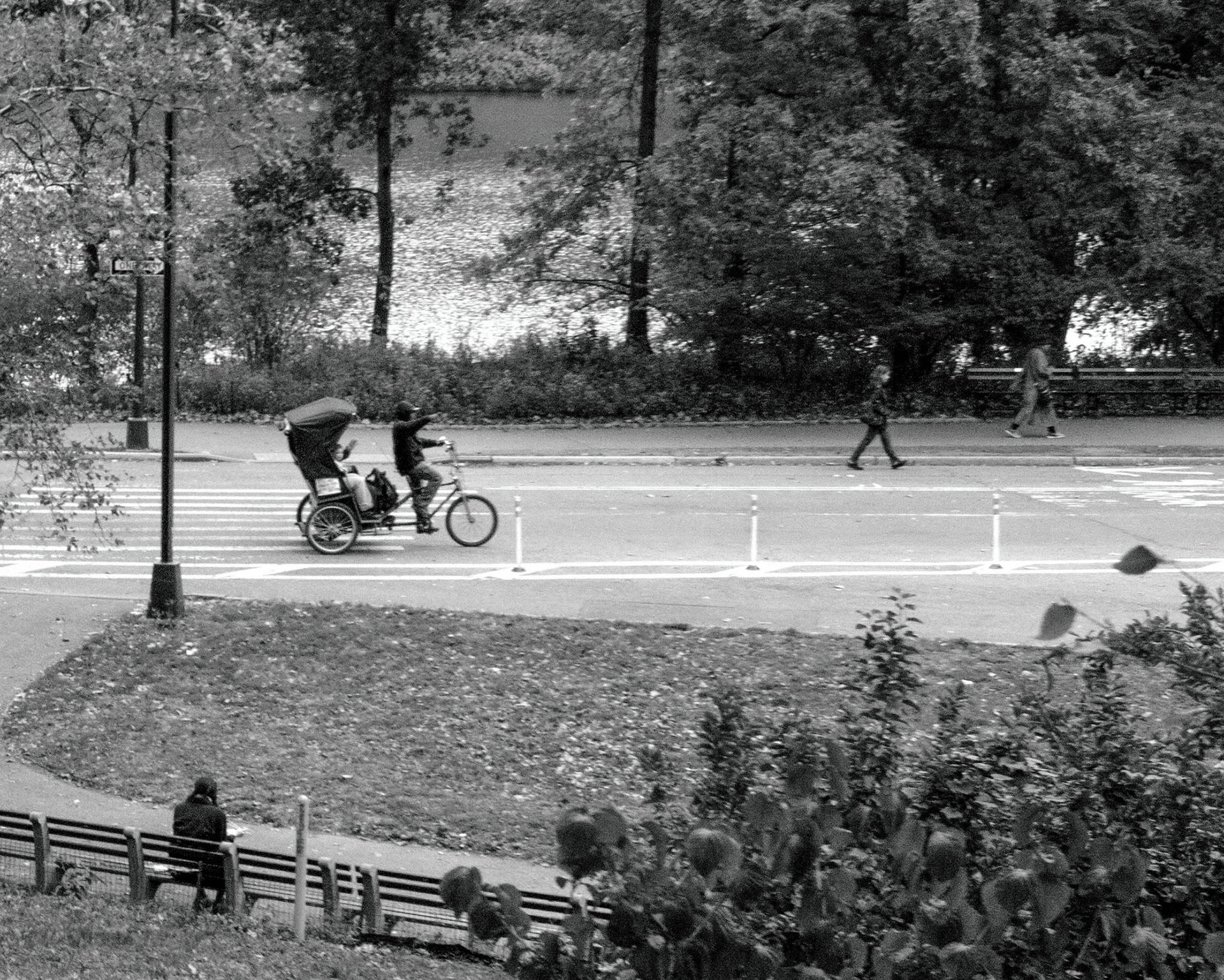 Life in a Day - Central Park, NYC