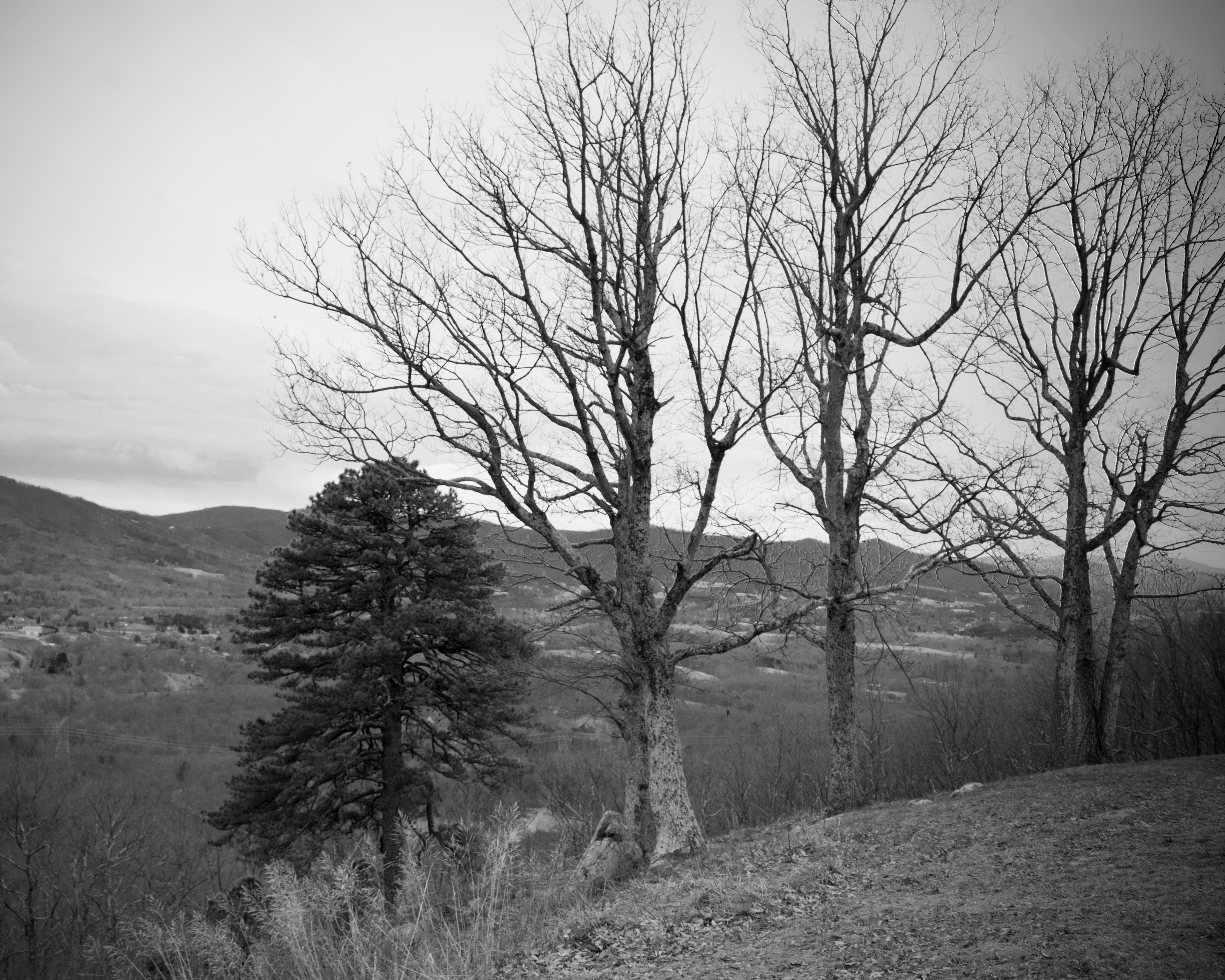 Brother & Sisters - Blue Ridge Mountains, VA