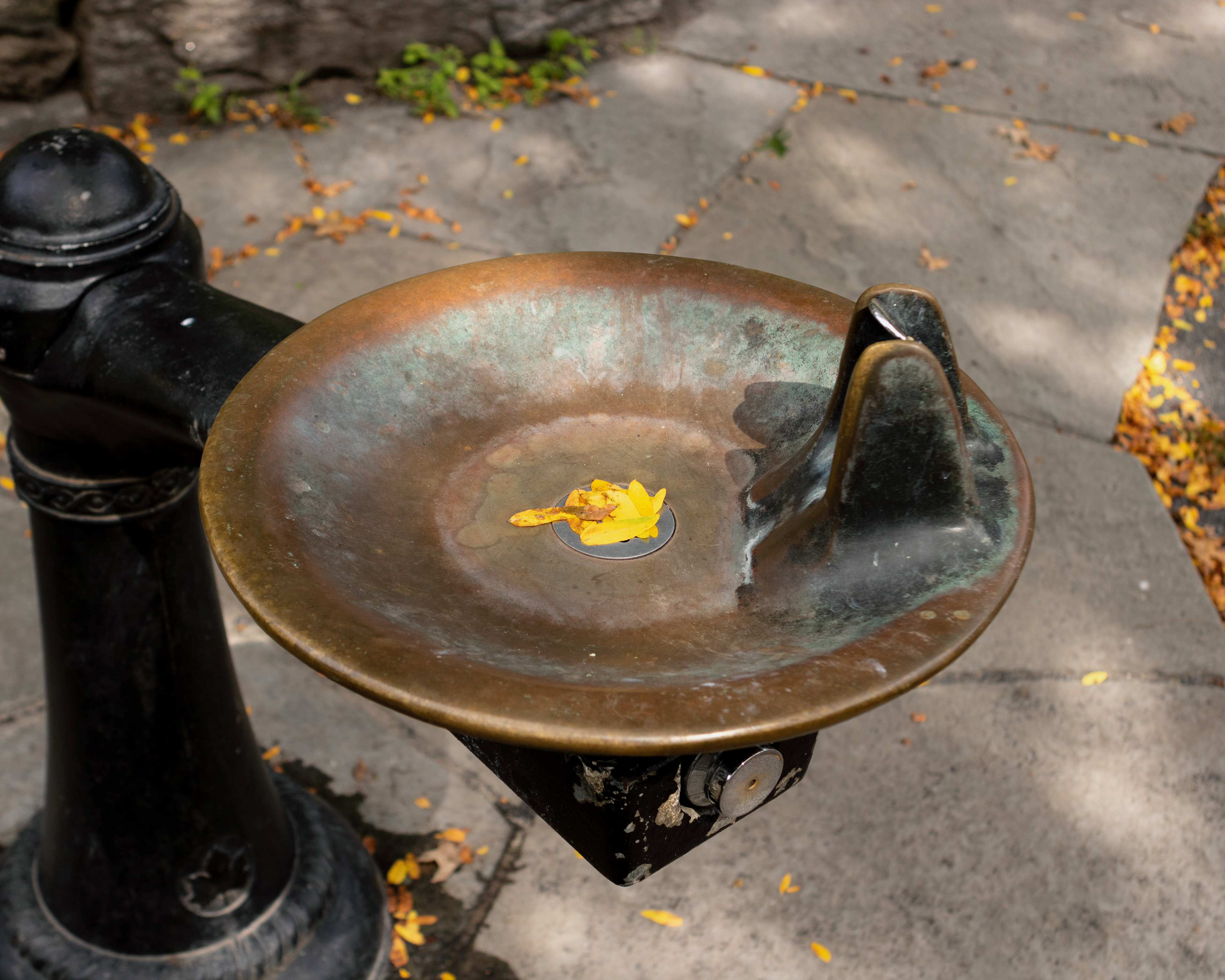 The Fountain - Central Park, NYC