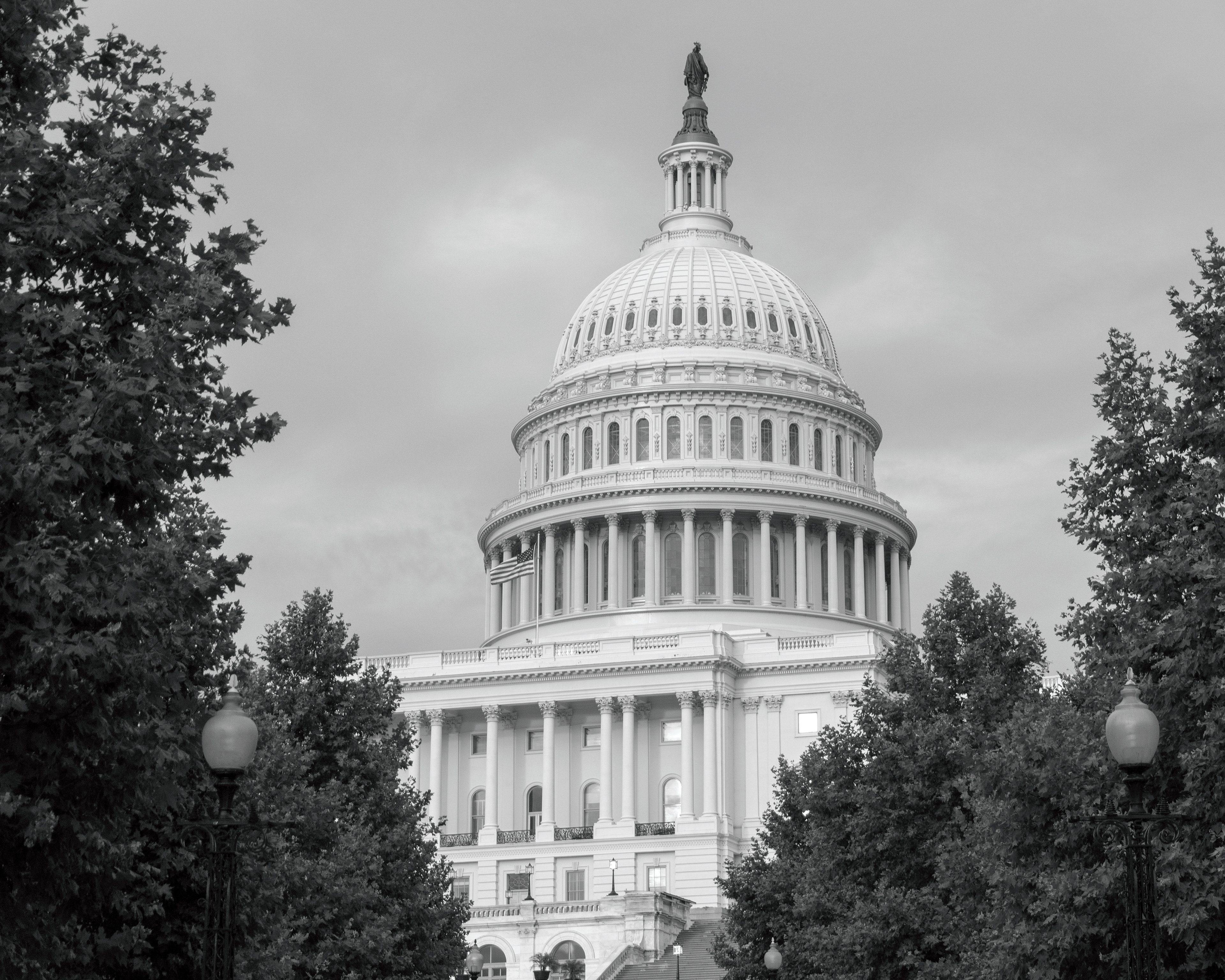 Statue of Freedom - US Capitol, Washington, DC