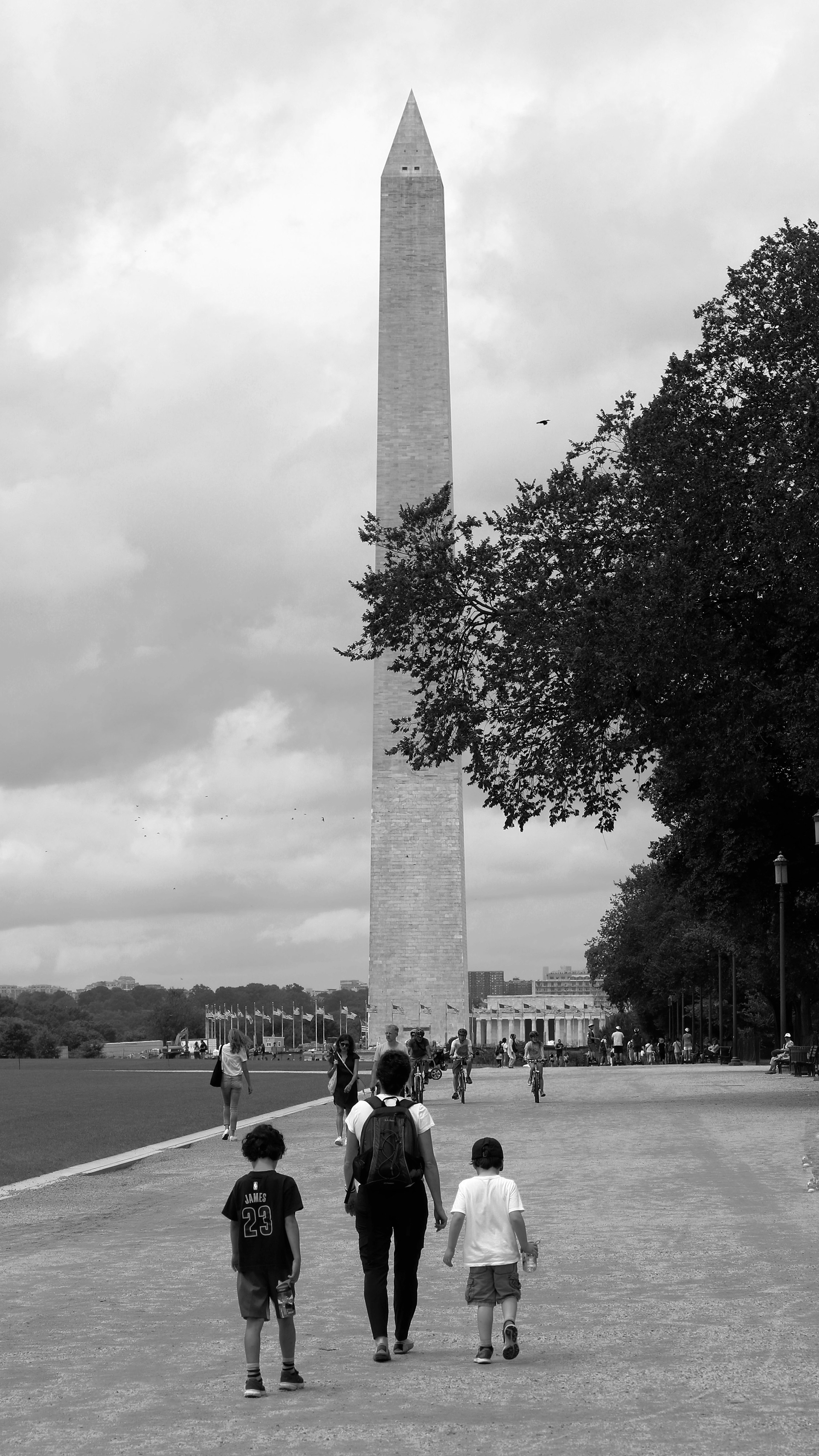 Backdrop - Washington Monument, Washington, DC