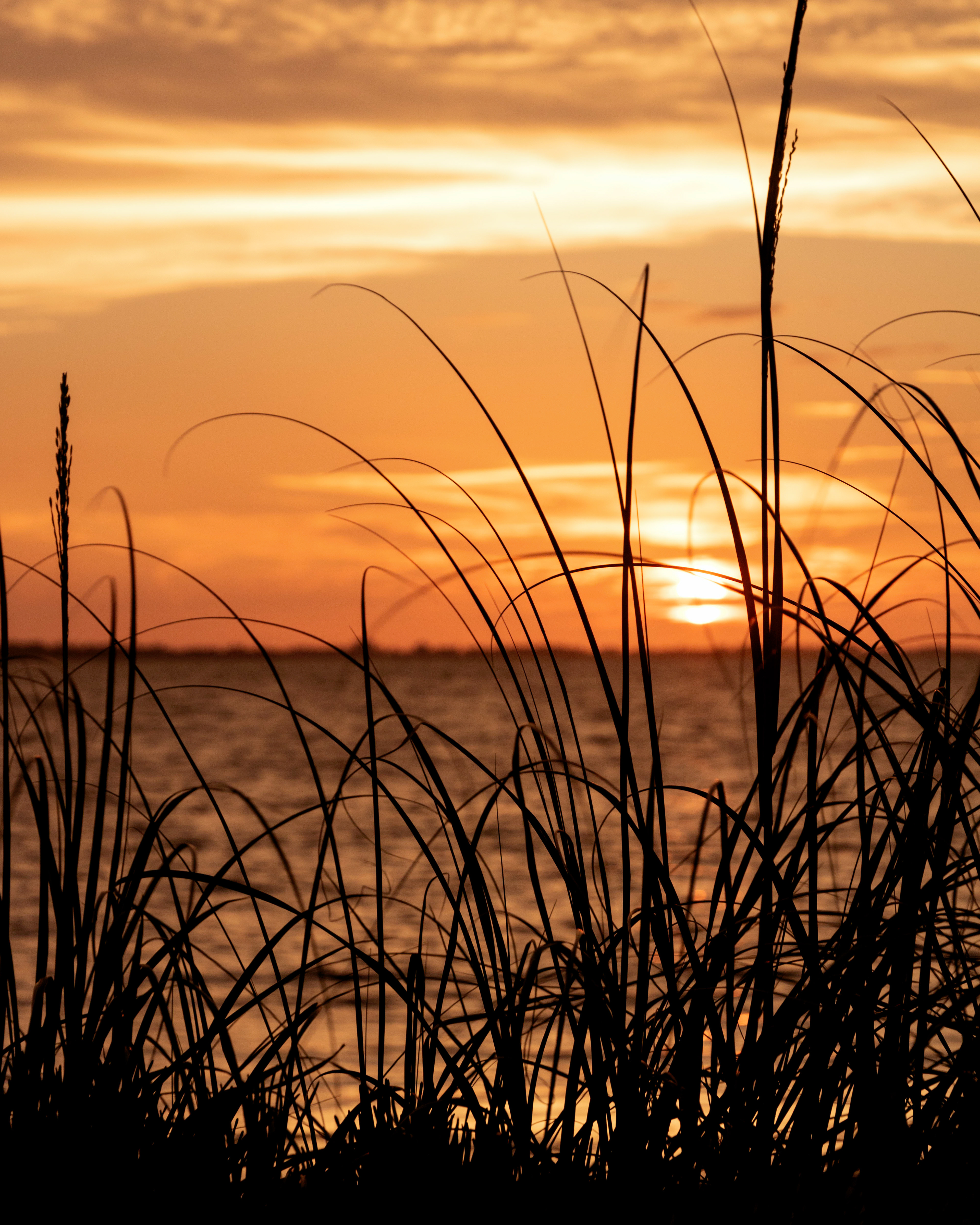 Tranquility - Indian Beach, FL