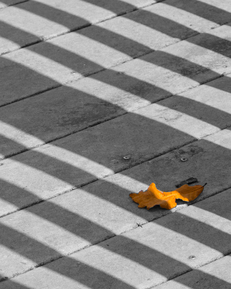 Umber Leaf - Roosevelt Park, NJ