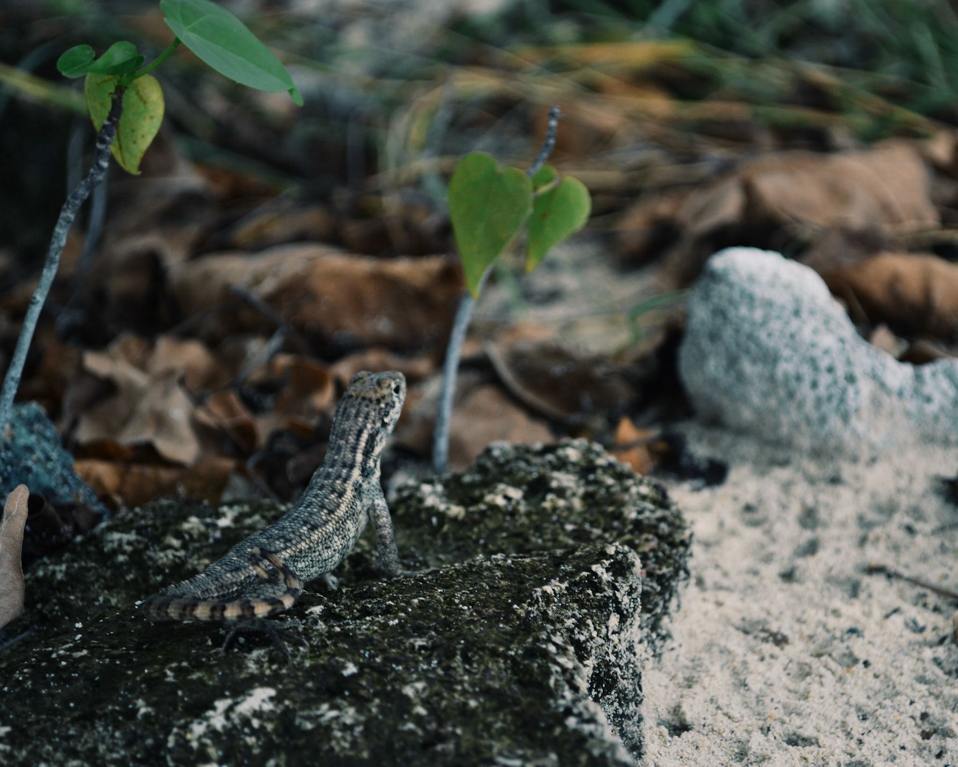 Processed with VSCOcam with g3 preset