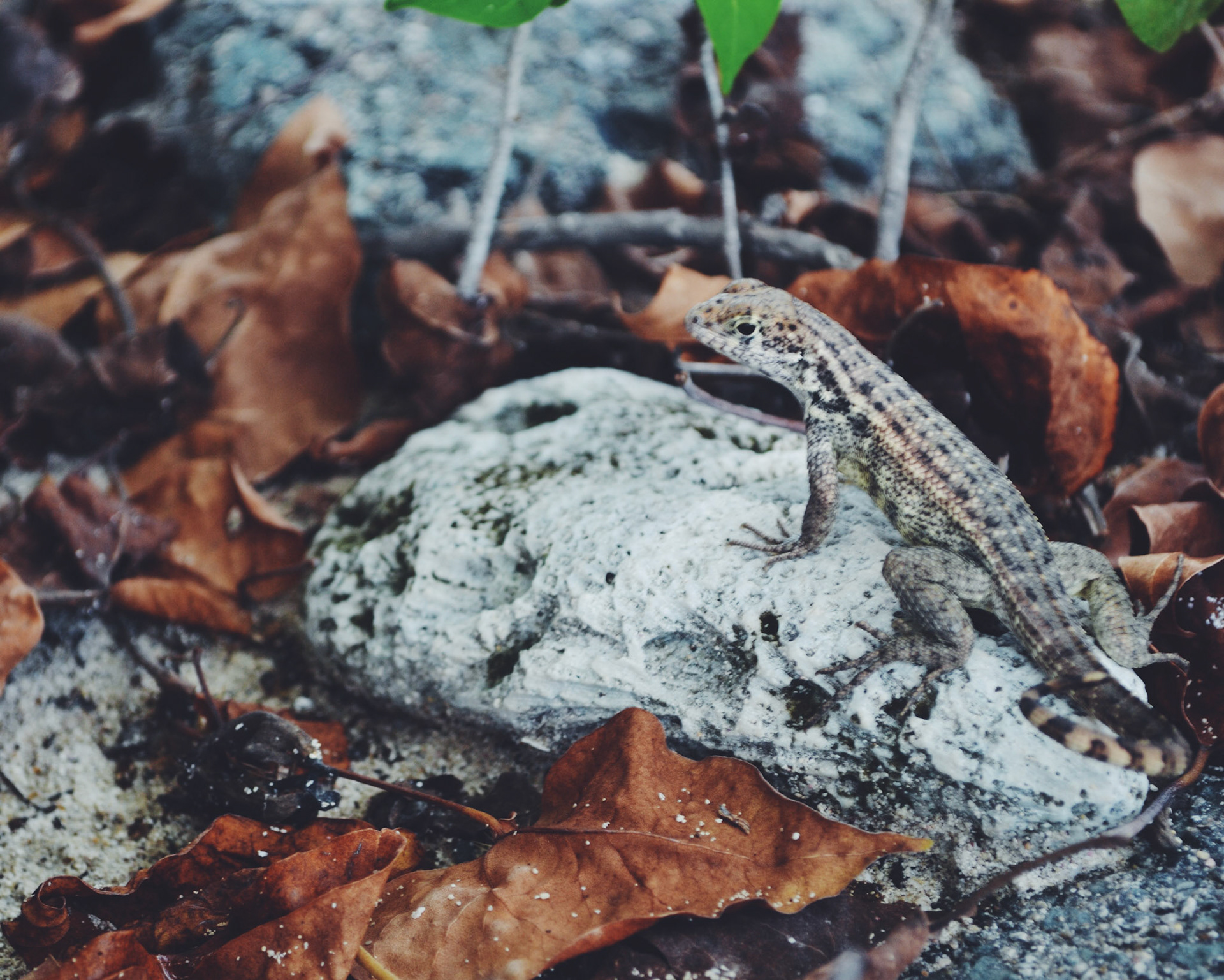 Processed with VSCOcam with f2 preset