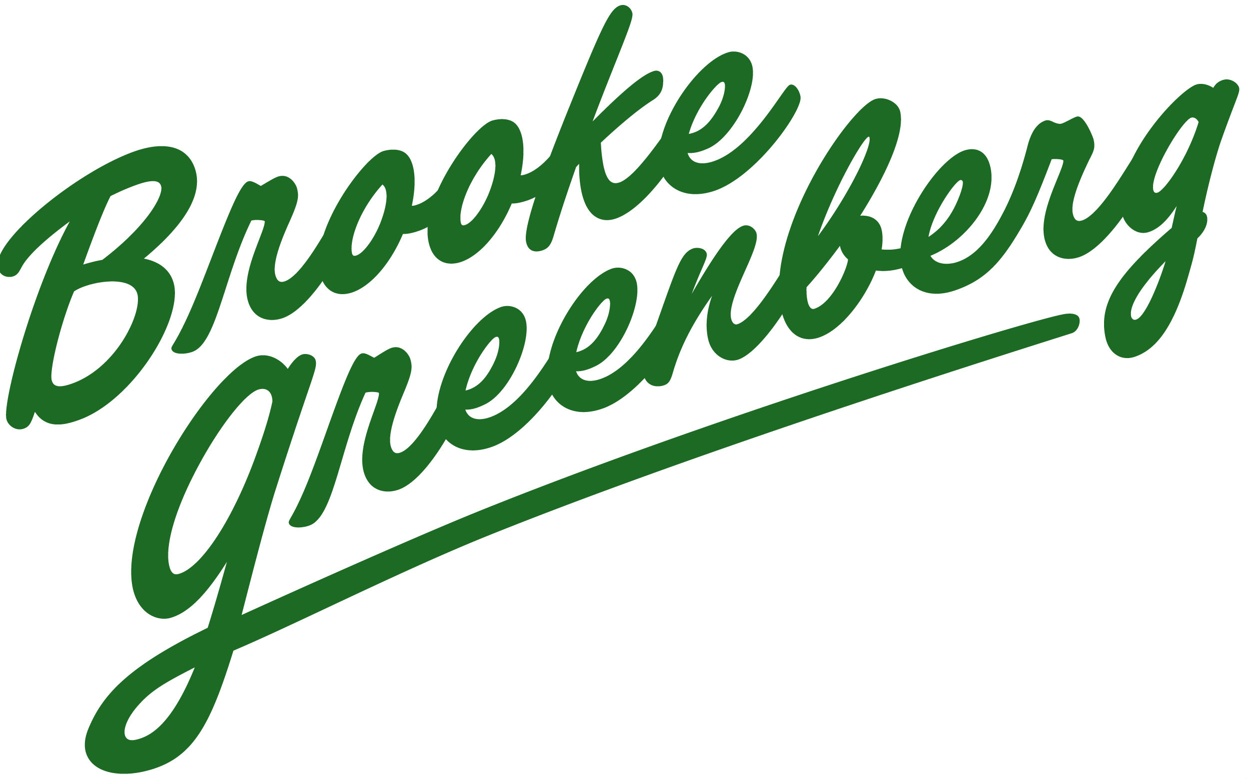 Brooke Greenberg